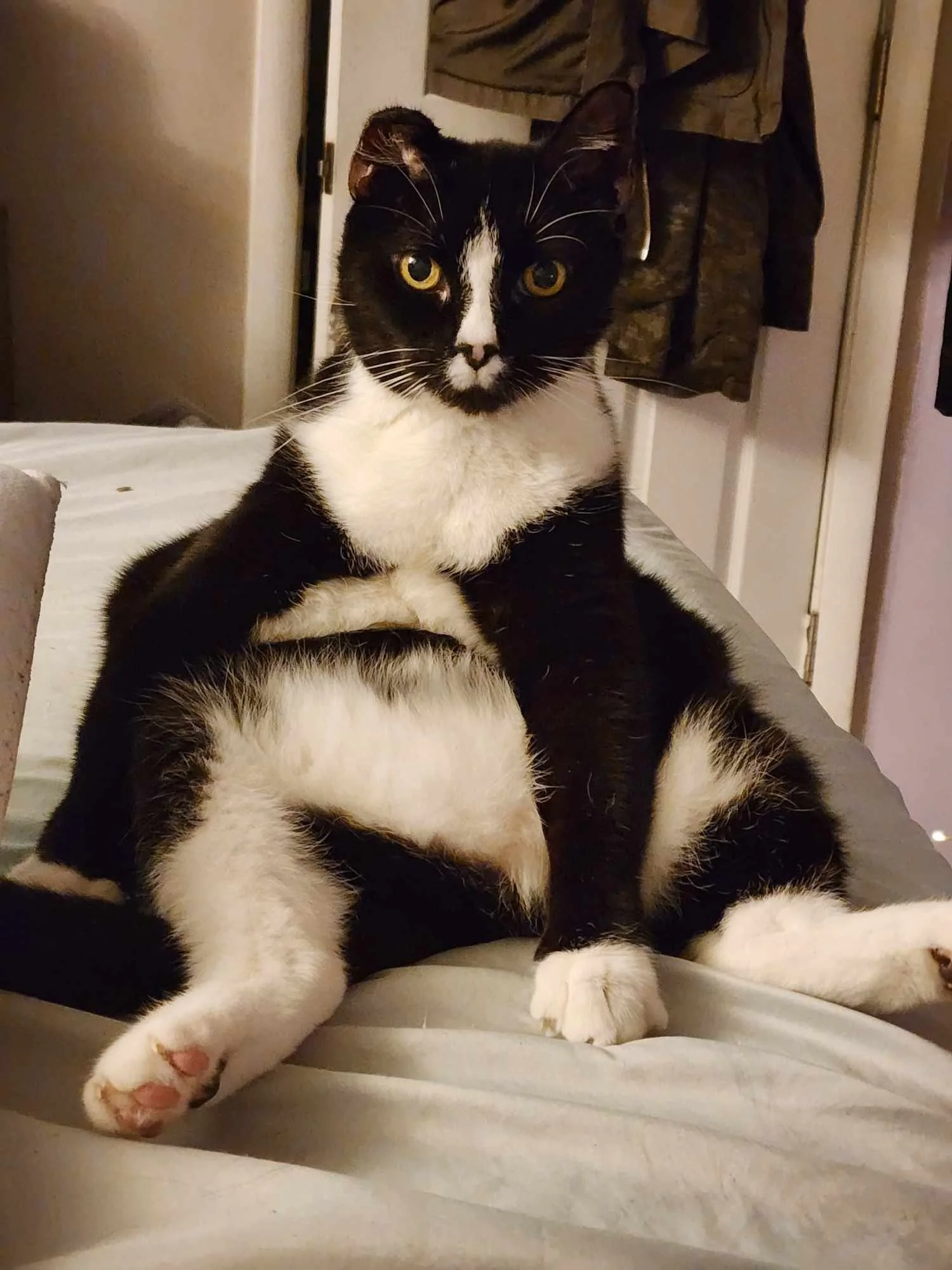Thank you so much for helping Sylvester.