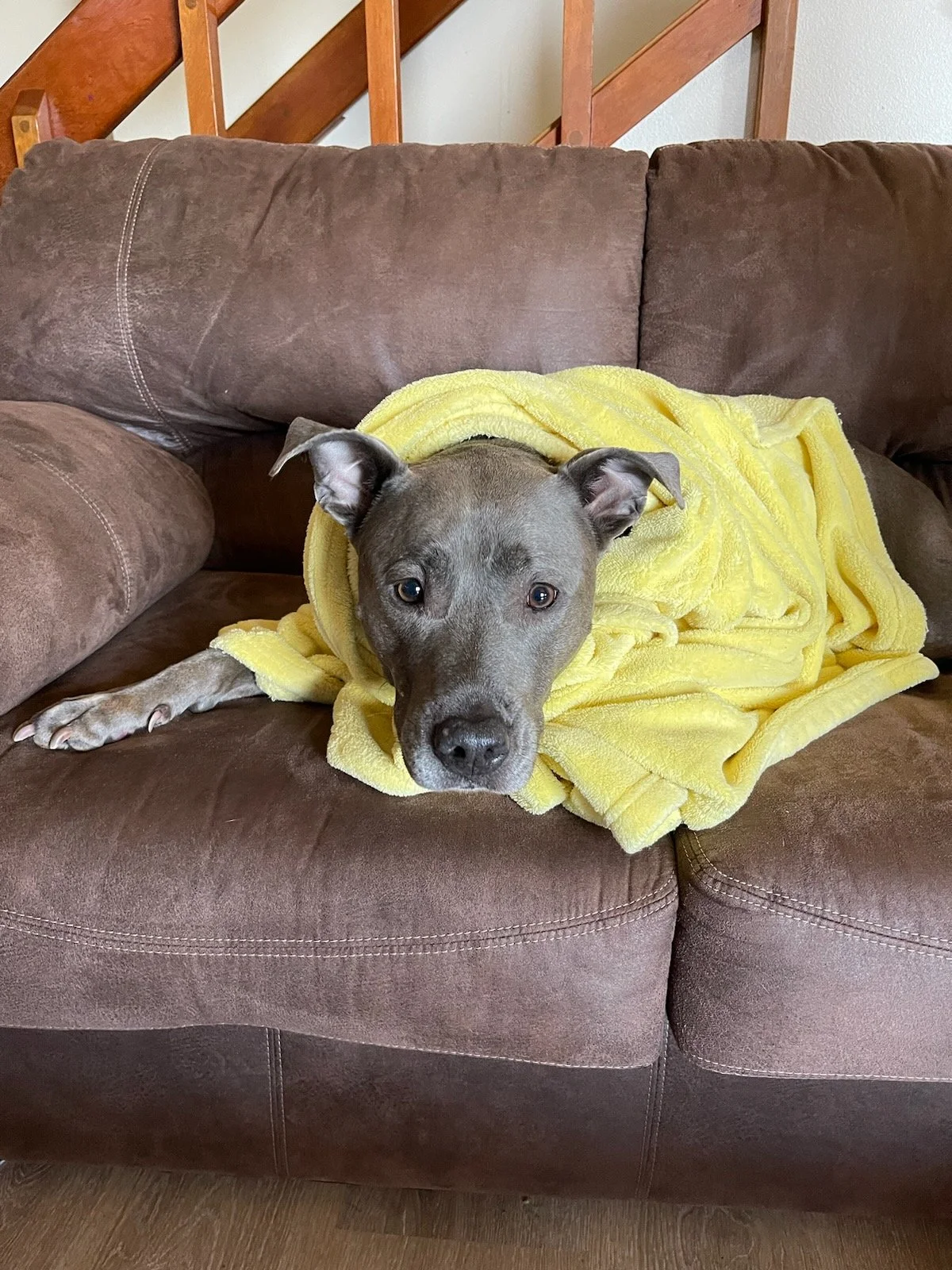  Bliss is my everything, and this surgery means everything, so thank you!