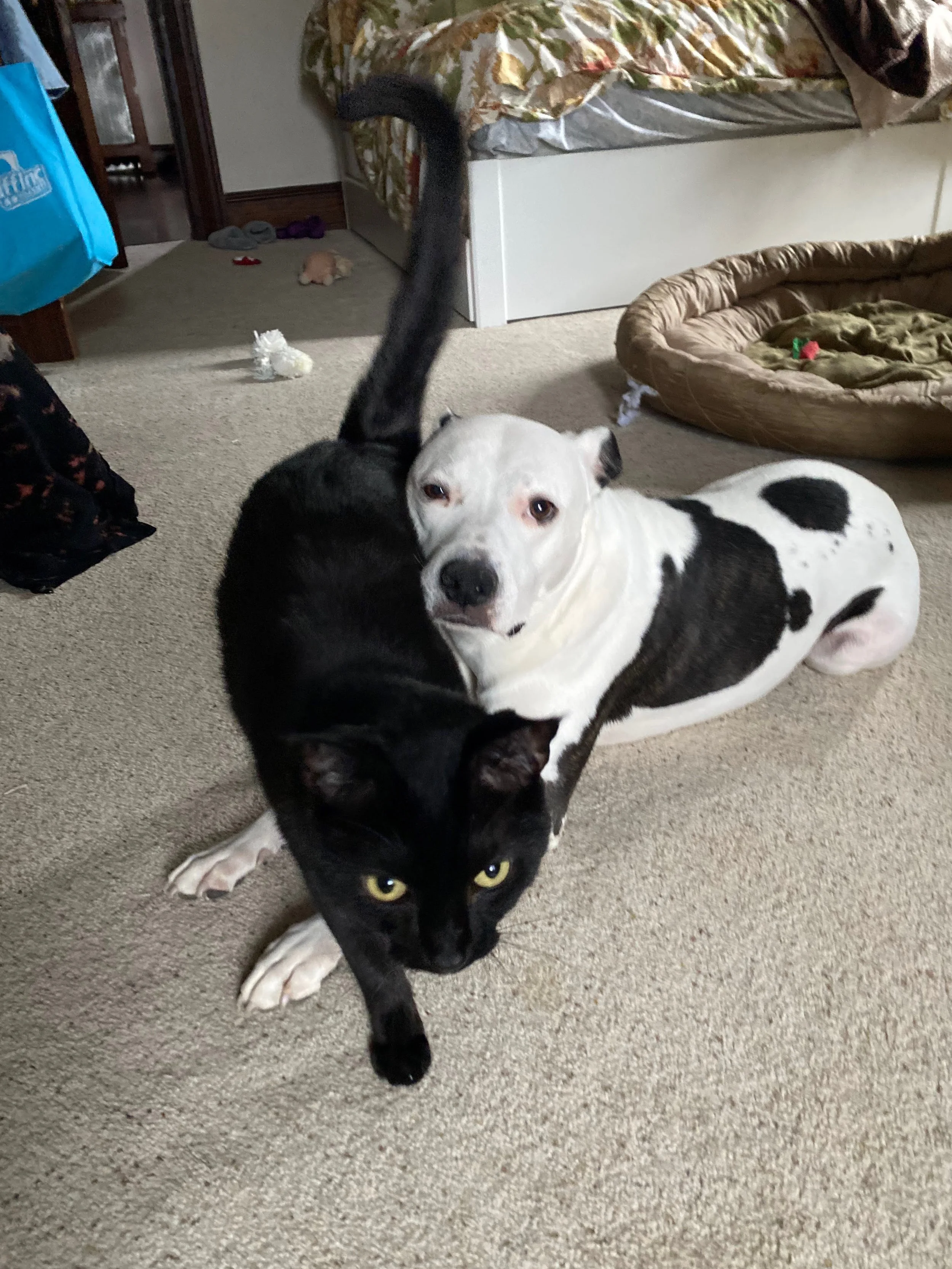 I am so deeply grateful for your help in giving Idgie this gift.