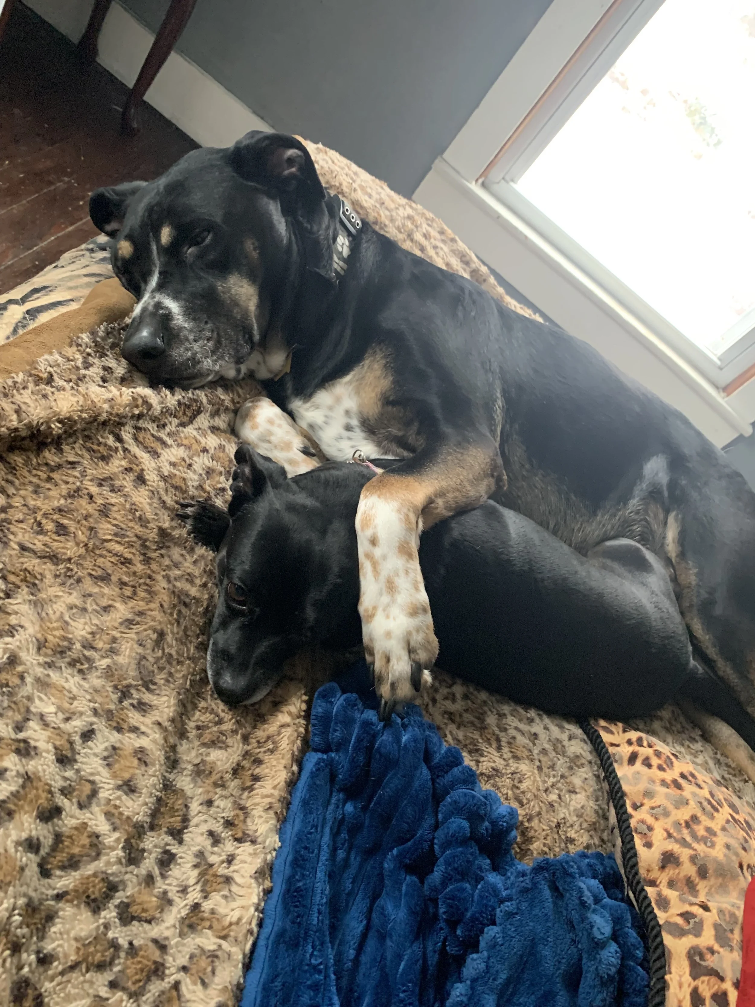 Thank you to the people who saved Lukas's life and gave him more years to live.