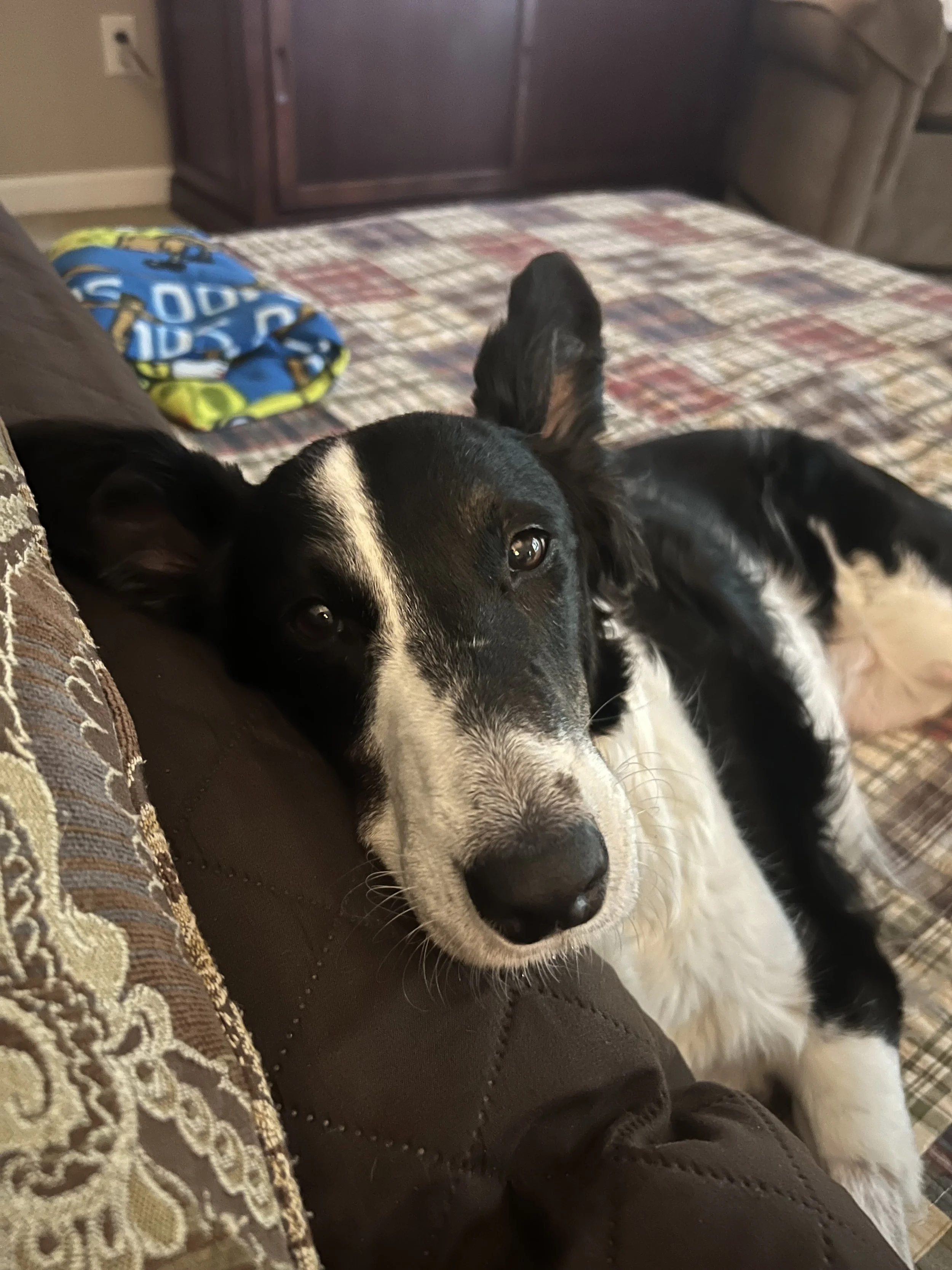 Shiloh says thank you very much.