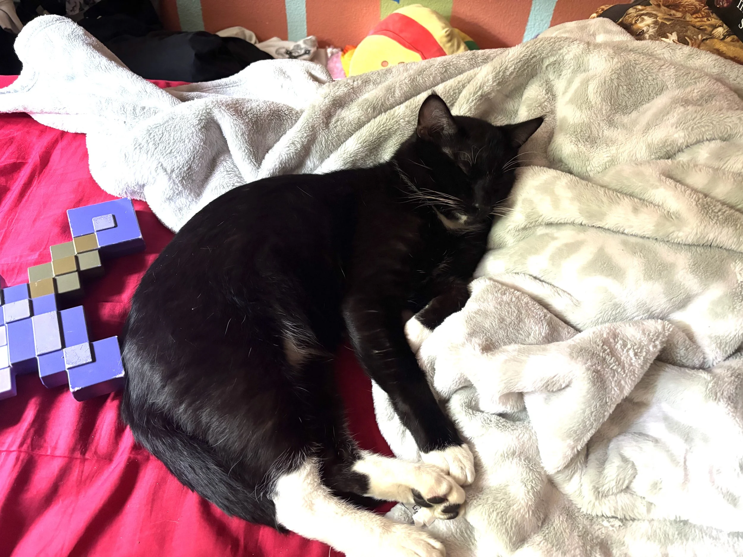 Thank you so much for helping our family get Cole back to his spunky, fun loving self.