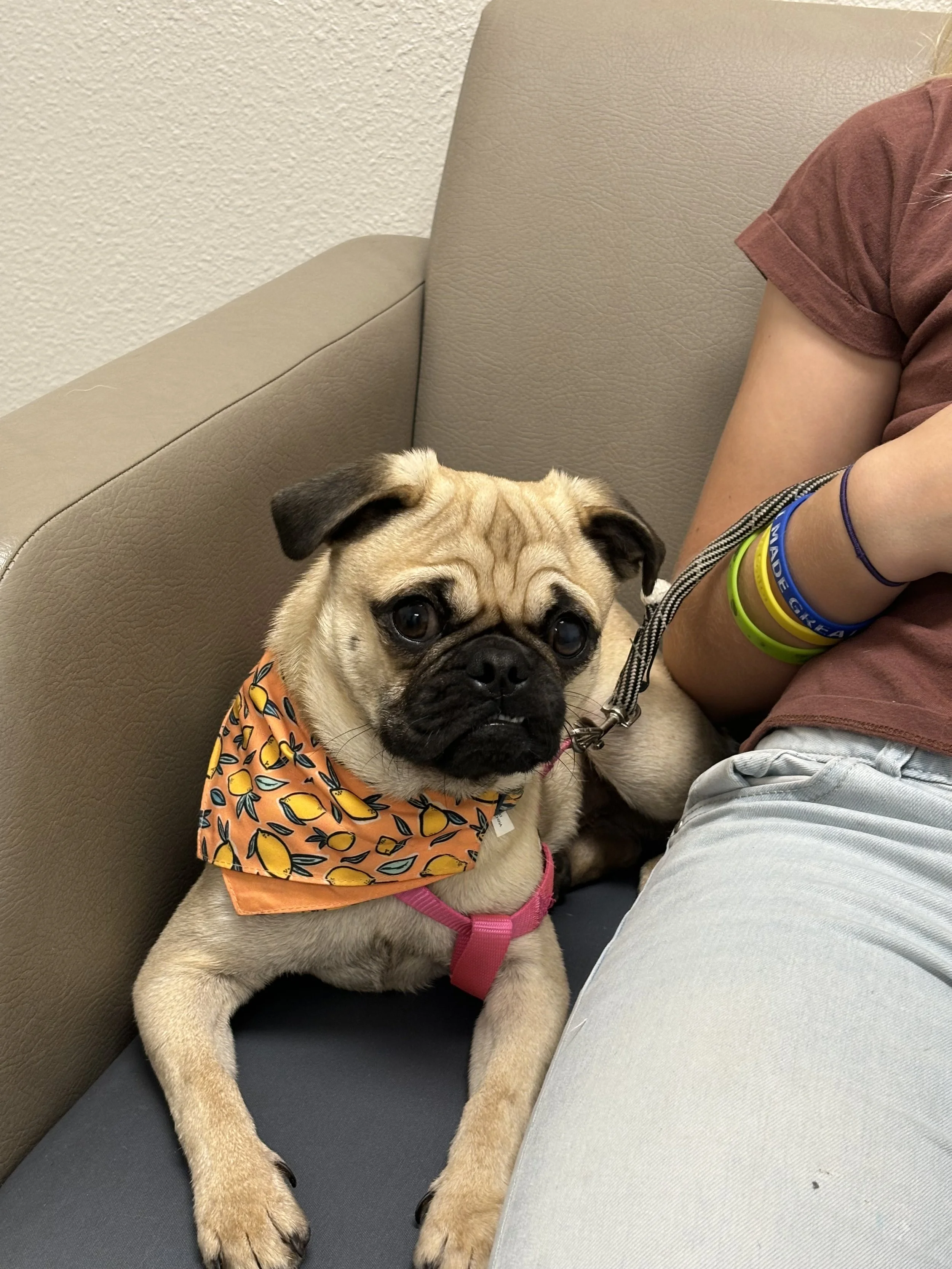 Leo means the world to me and my three kids.