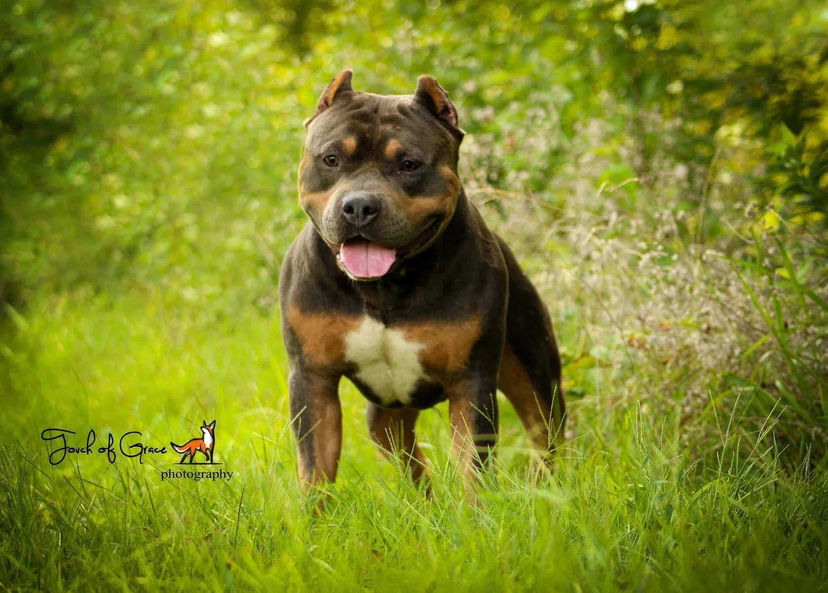 Thank you so much for helping Apollo.