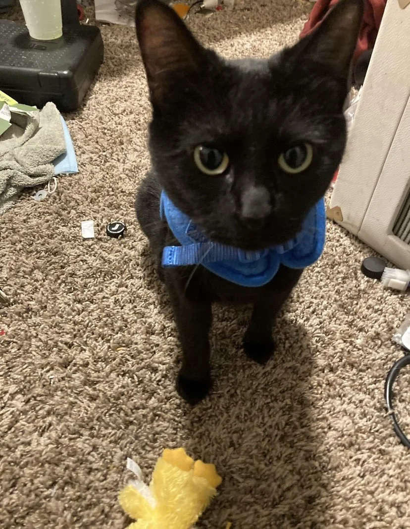 Thank you for helping Midnight.