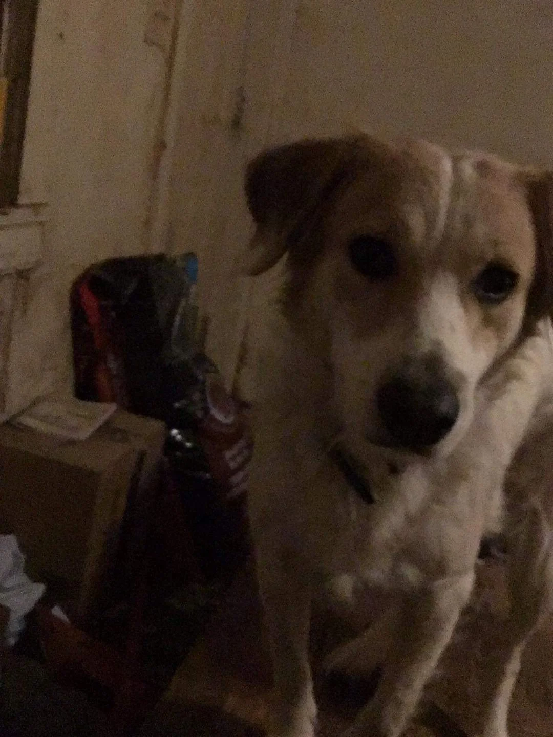 Thank you for possibly helping to save Daisy Lee's life.