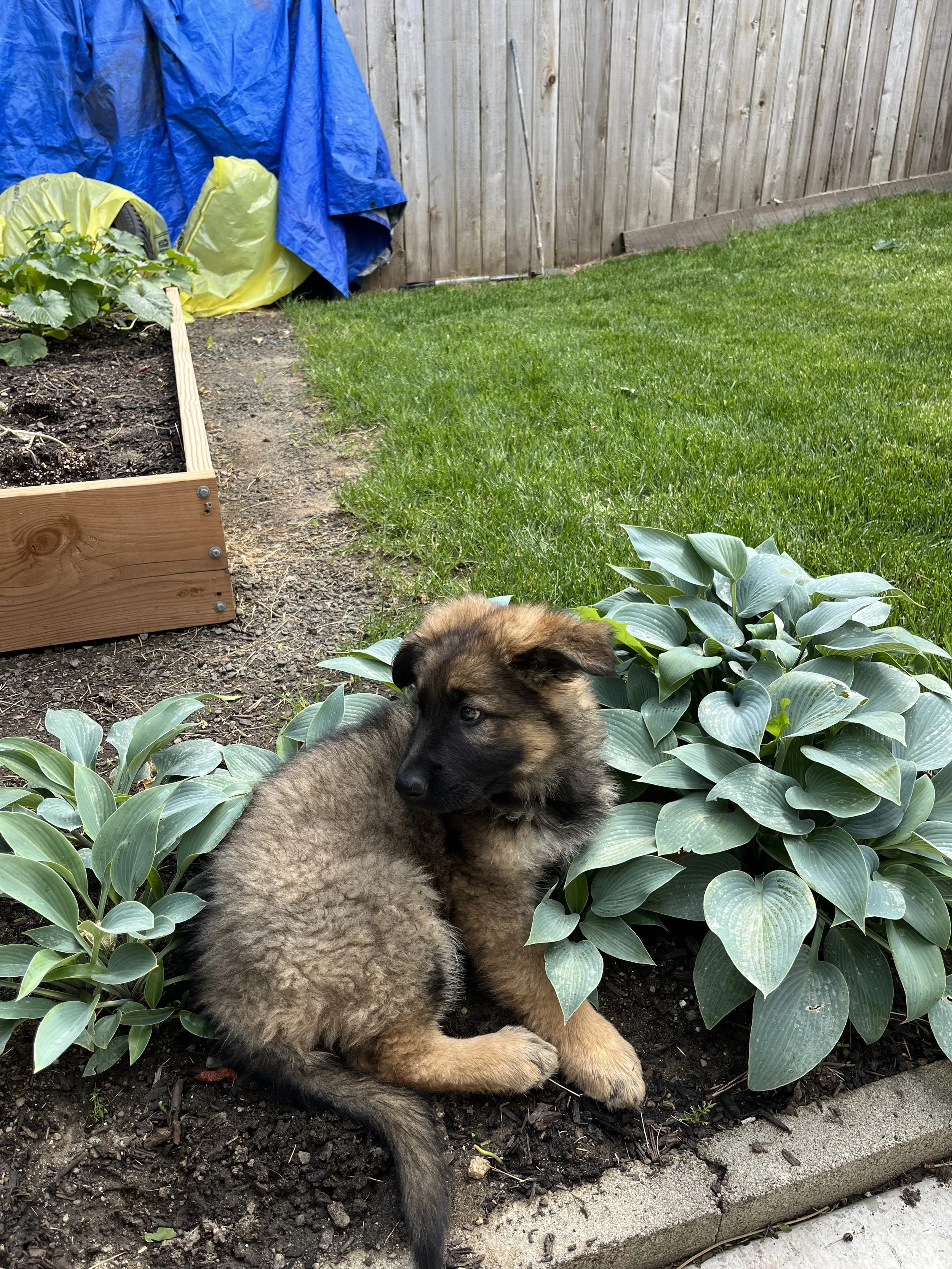 Thank you for helping Will.