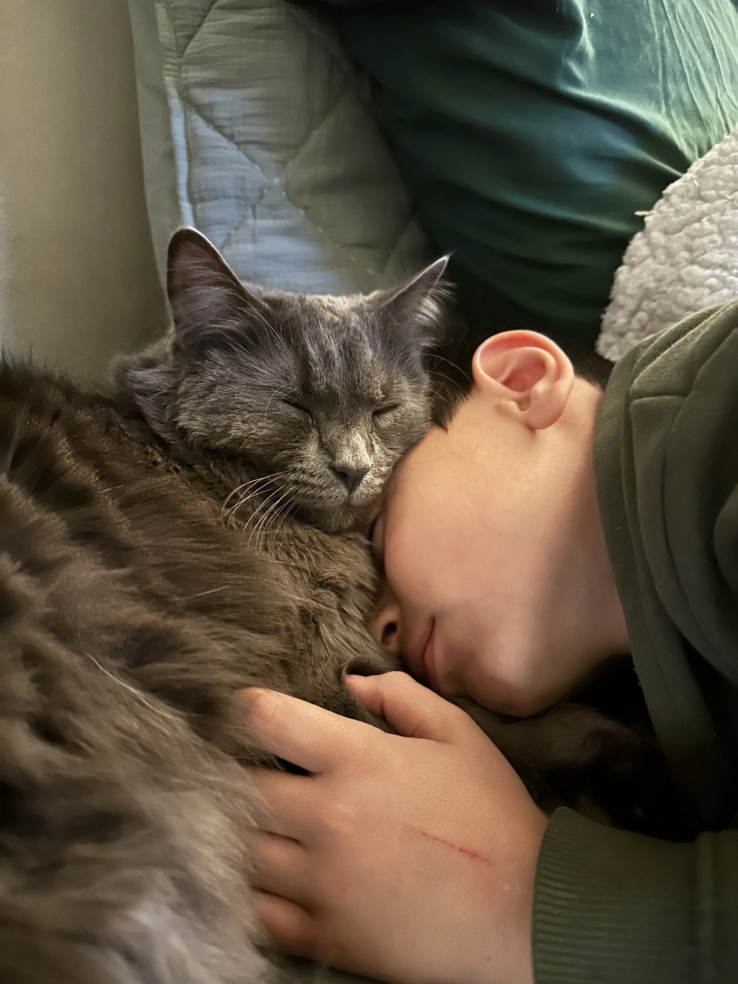 We are so grateful for your assistance with Leo.