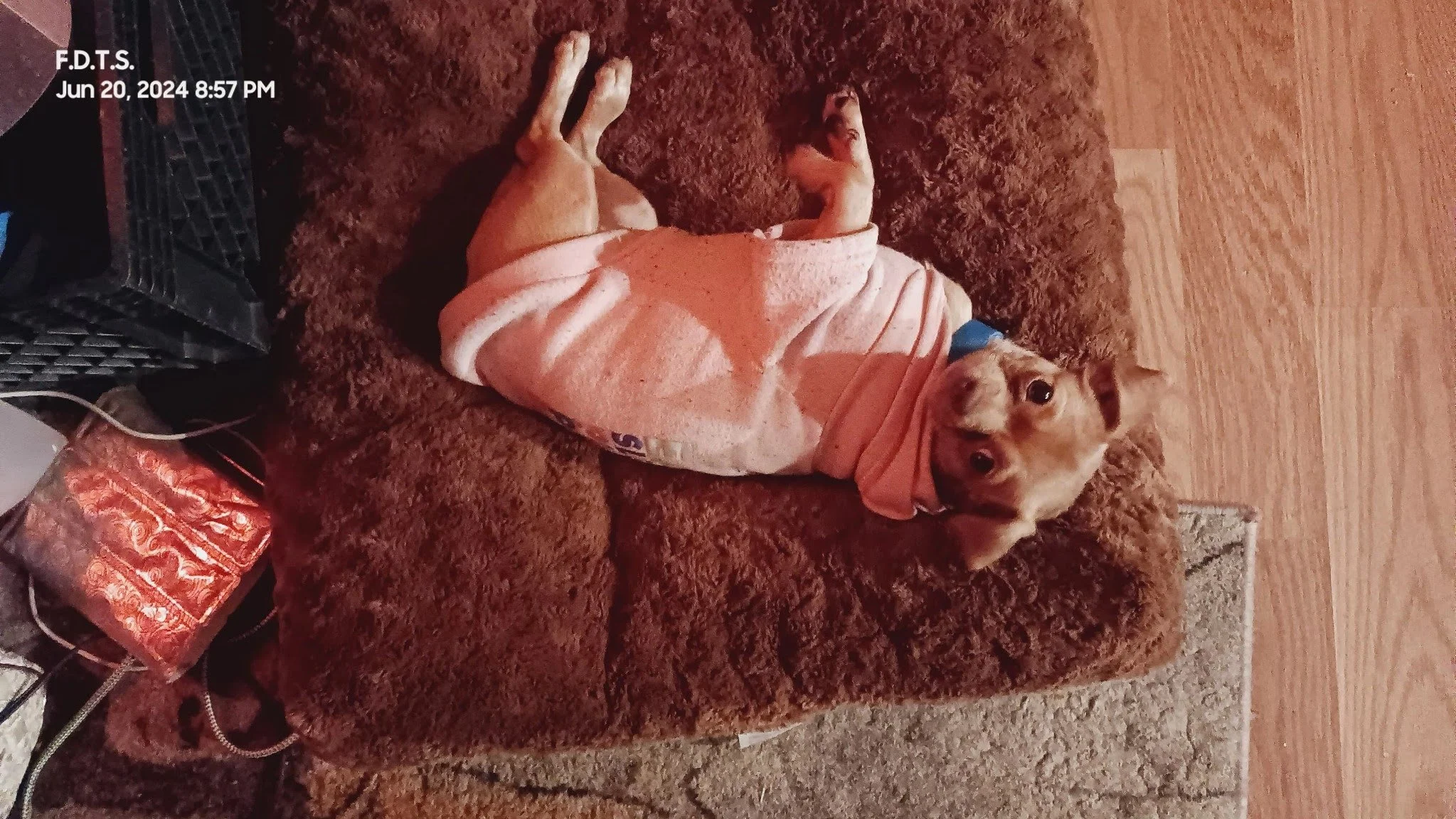 Thank you for helping Lily.