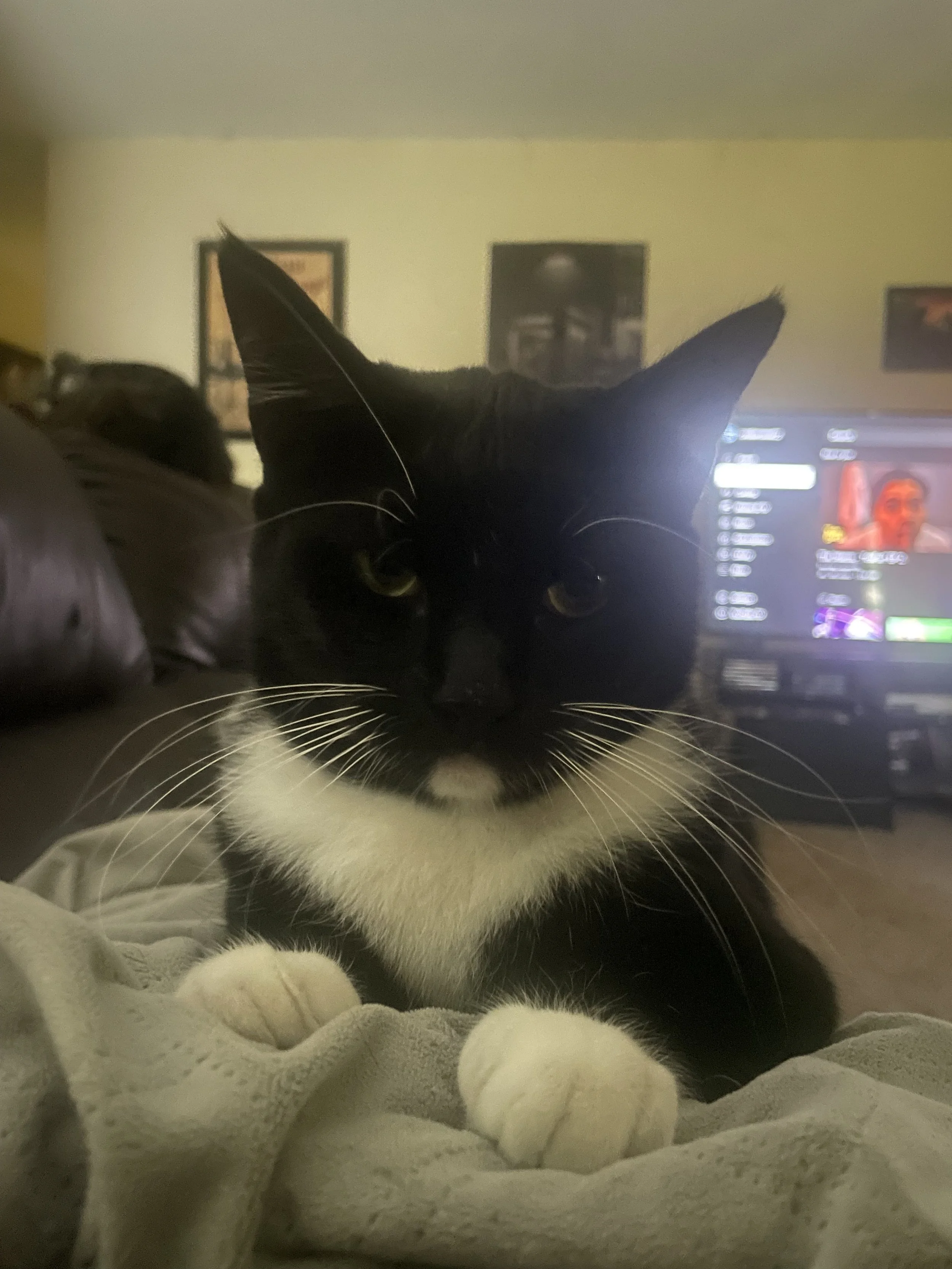 Jim is still young and is one of the most important things in my life.