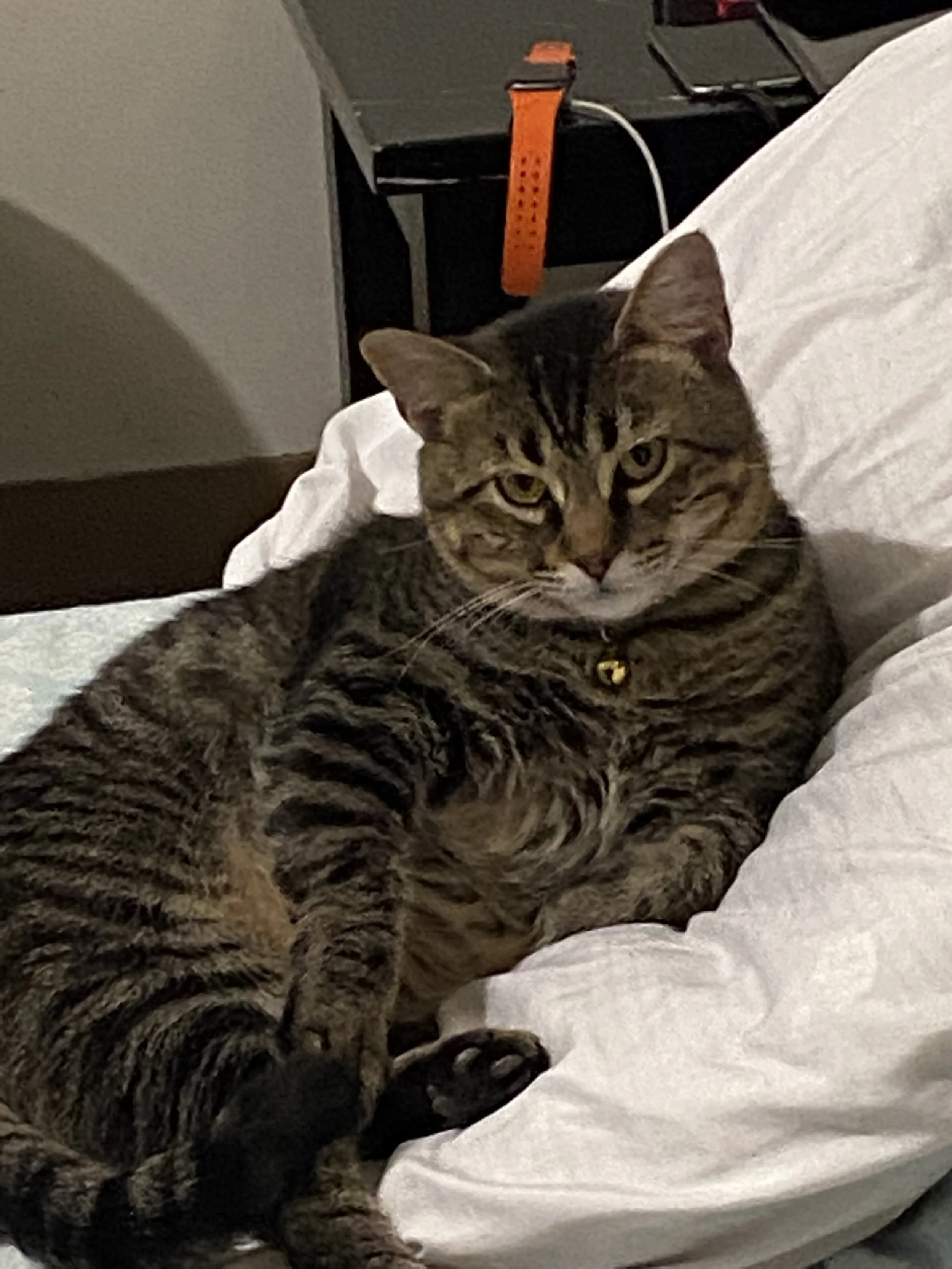 Buddy-Love is grateful to live out the rest of his life with his family.