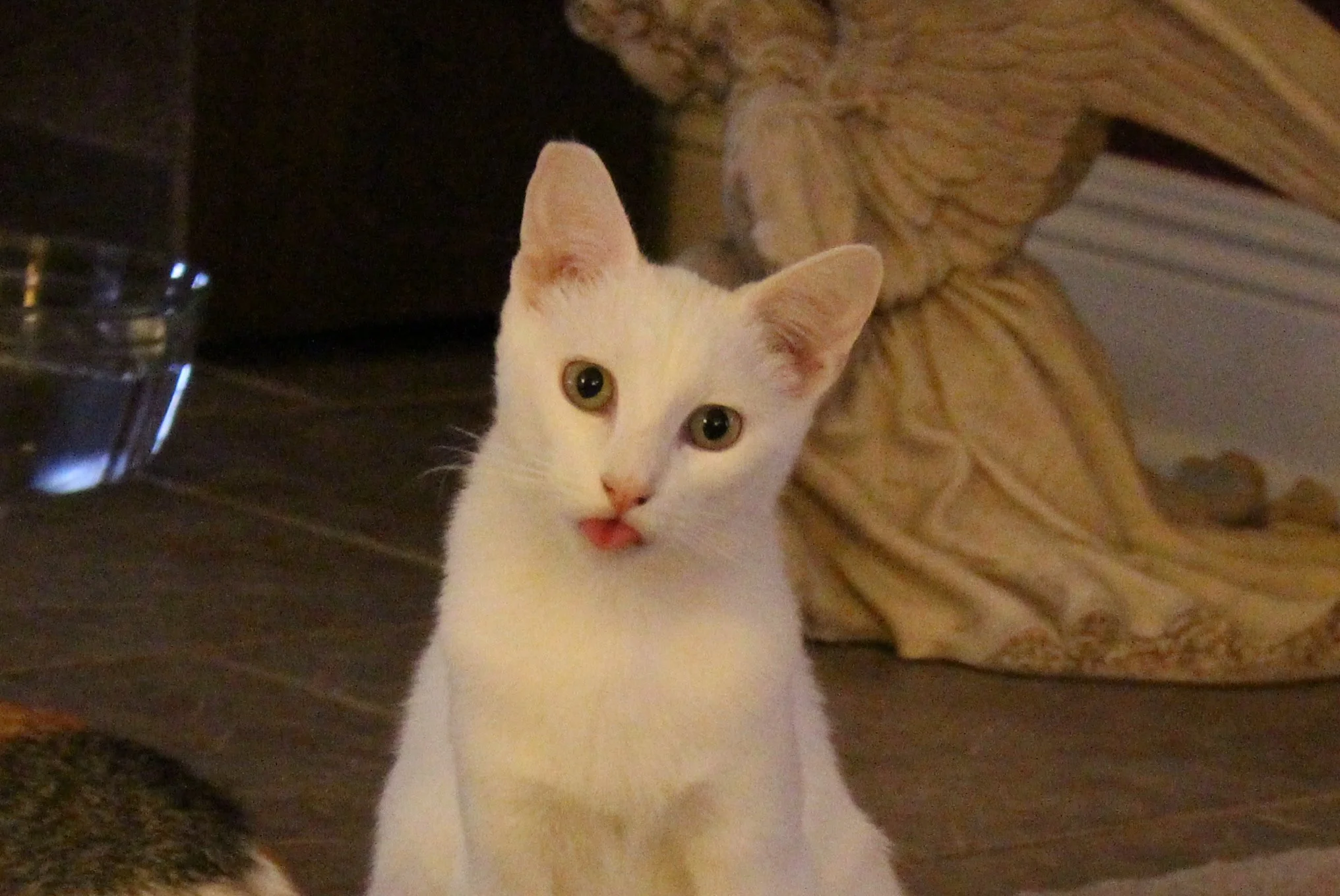 Thank you Bond's Fund for helping Walter.