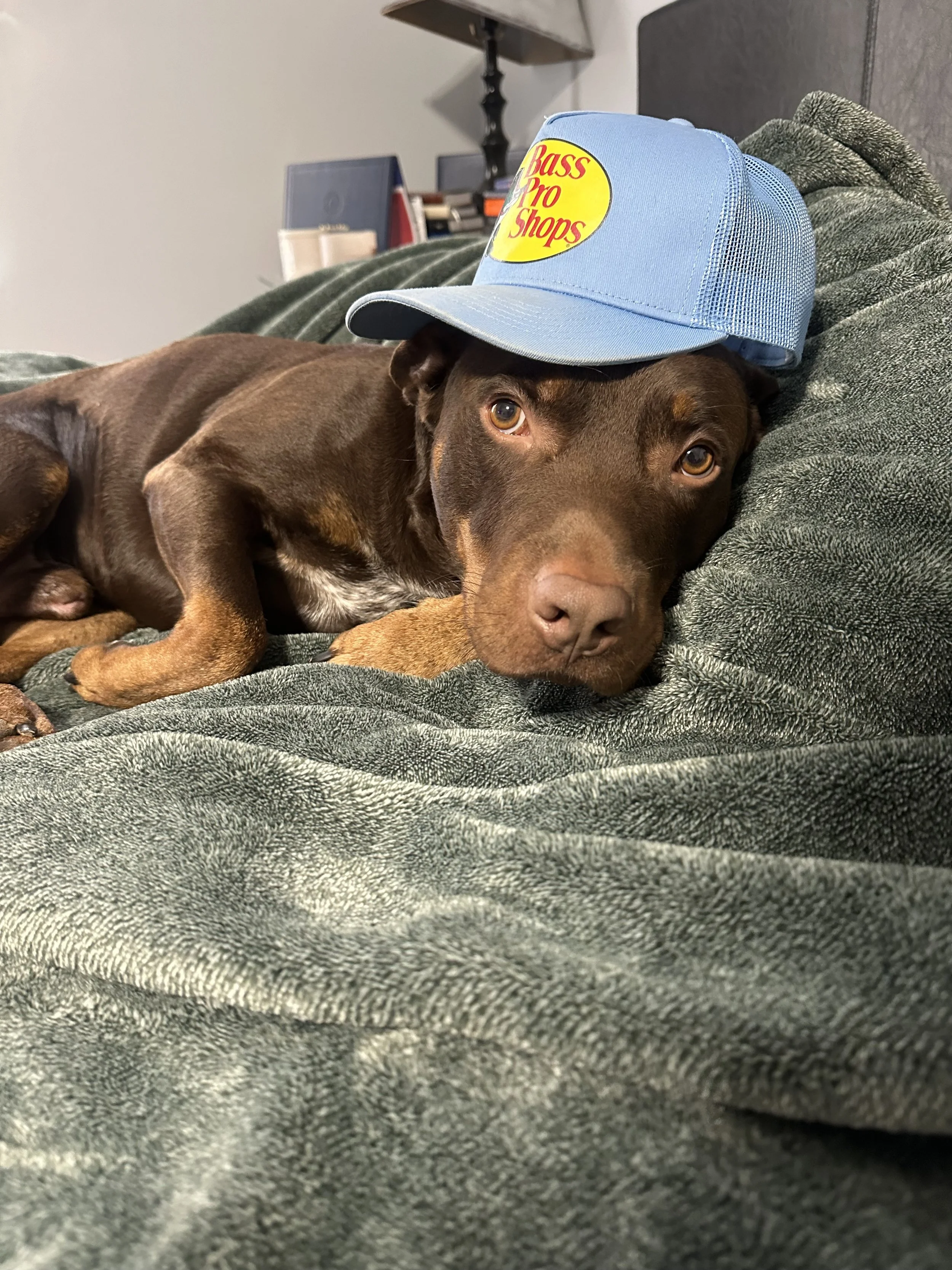 Thank you so much for helping Enoch.