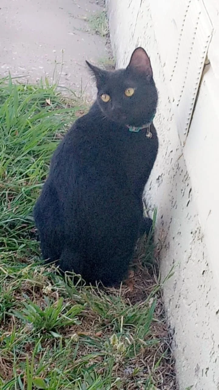 Thank you from the bottom of my heart for helping Beejay.