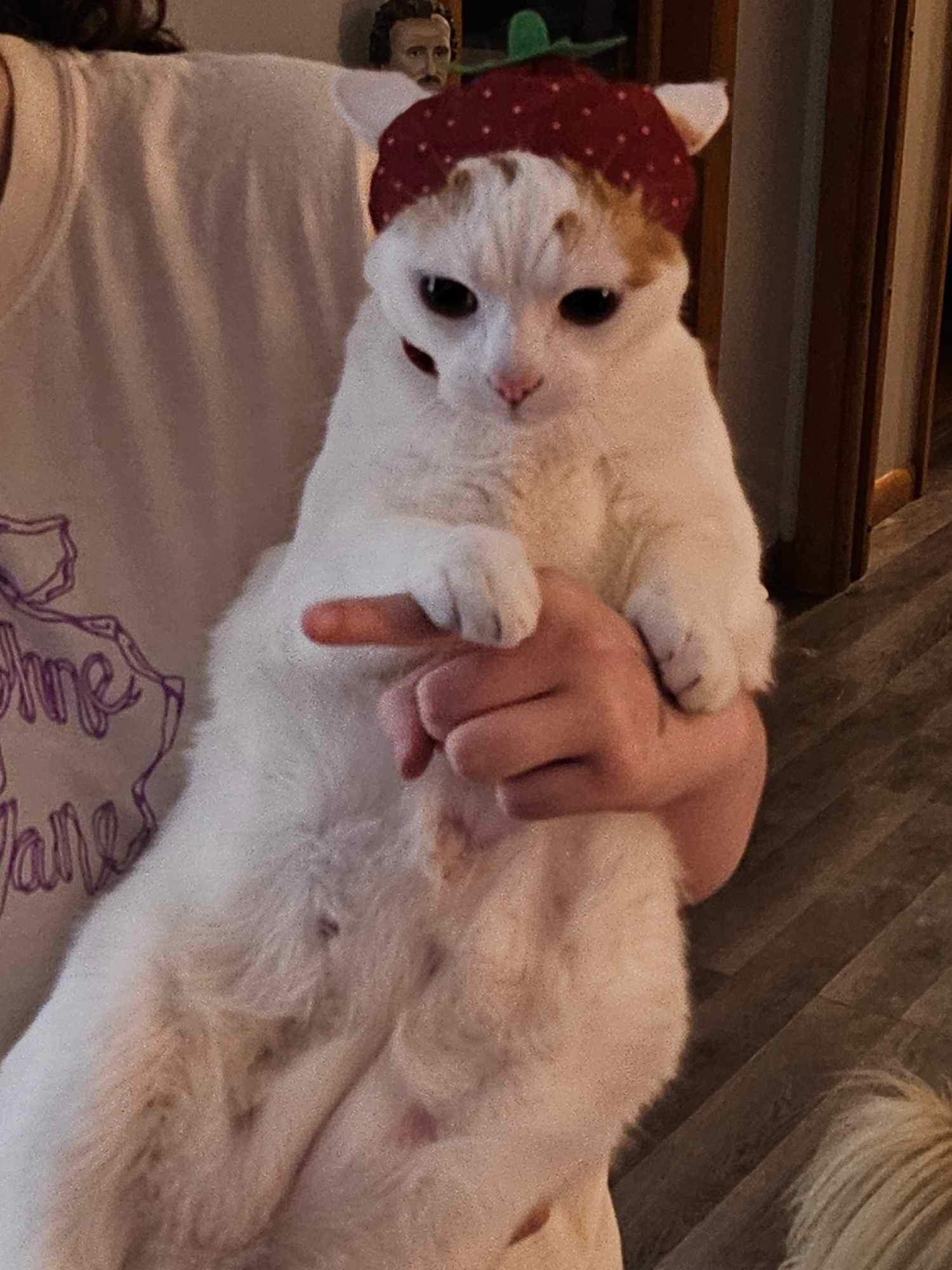 Thank you donors for saving Caboose’s life! 