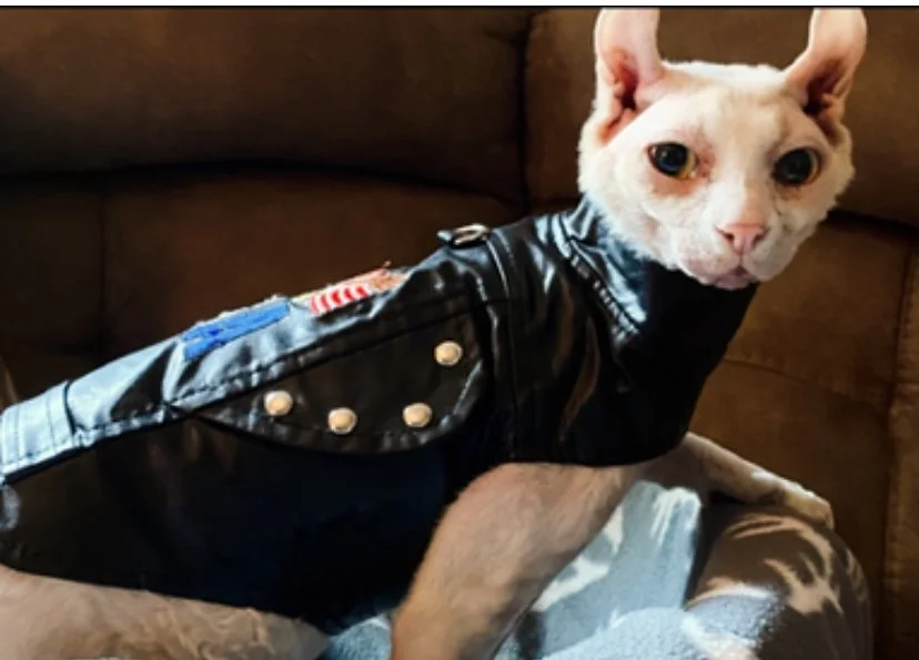 As the light of my life, Obis presence is crucial