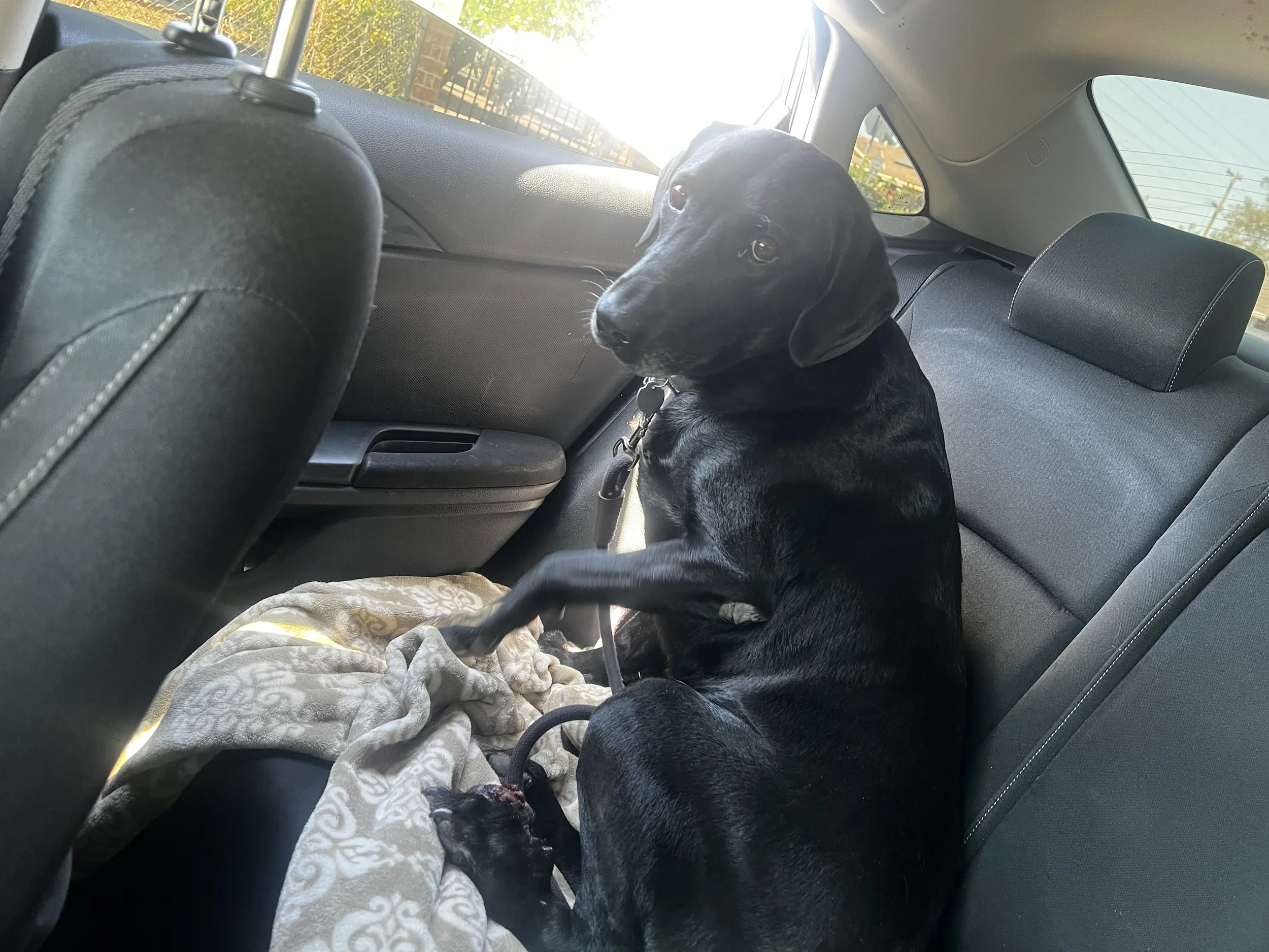 Thank you from my children and I for helping Max.