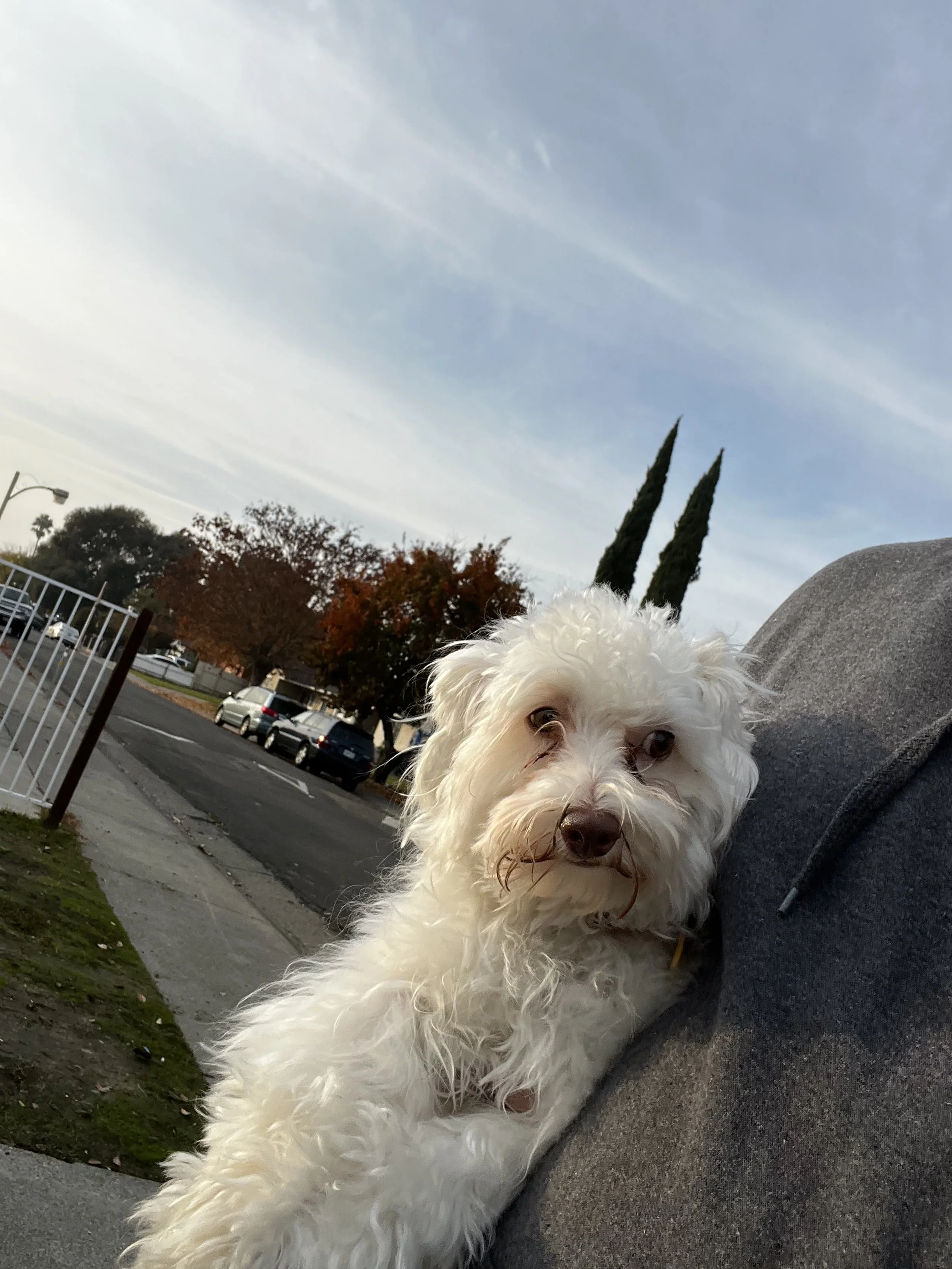 Thank you for helping Kylo