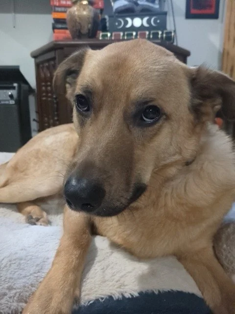 Thank you so much for helping Winchester.