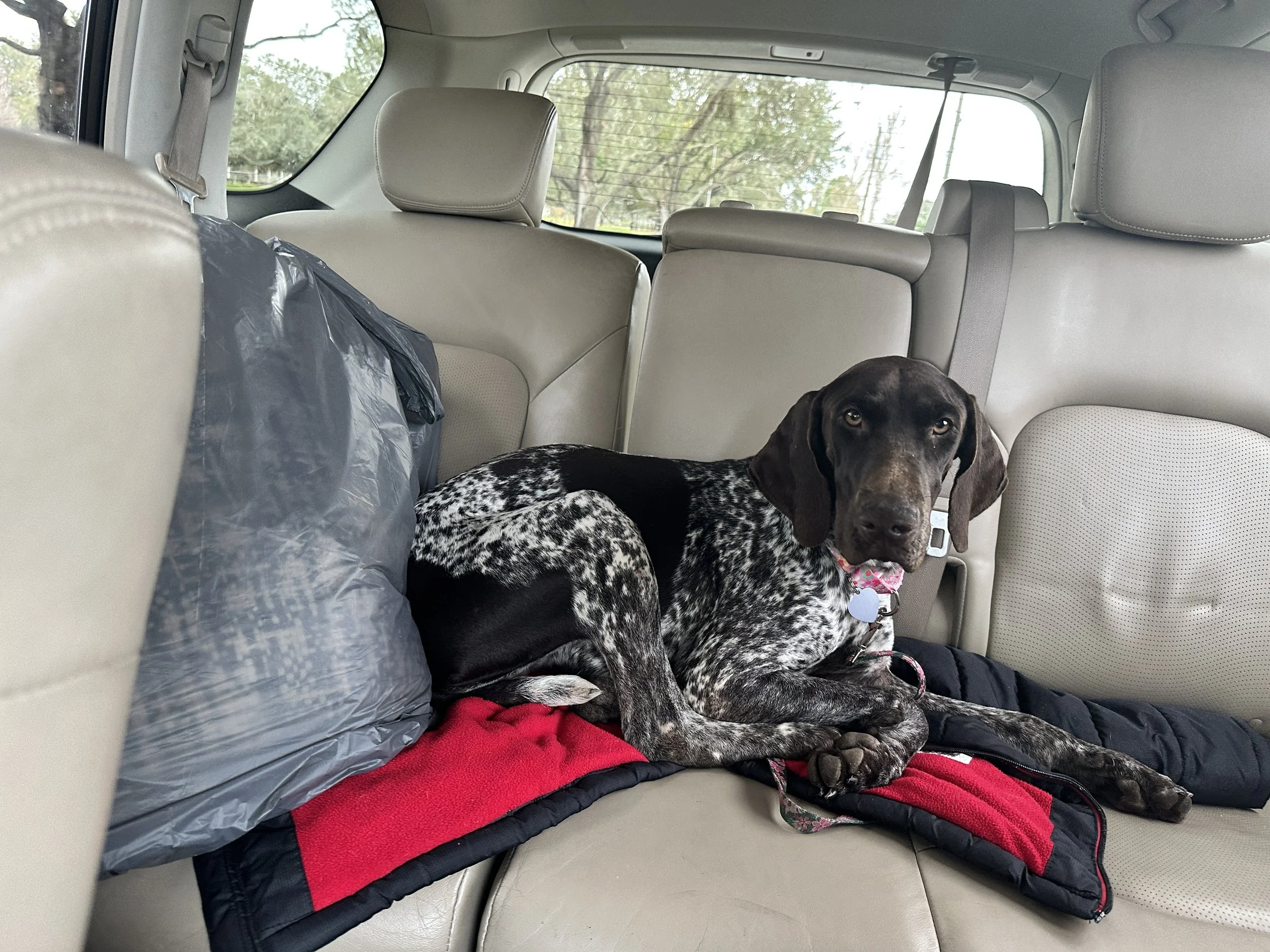 Thank you so much for your support in saving Chantel.