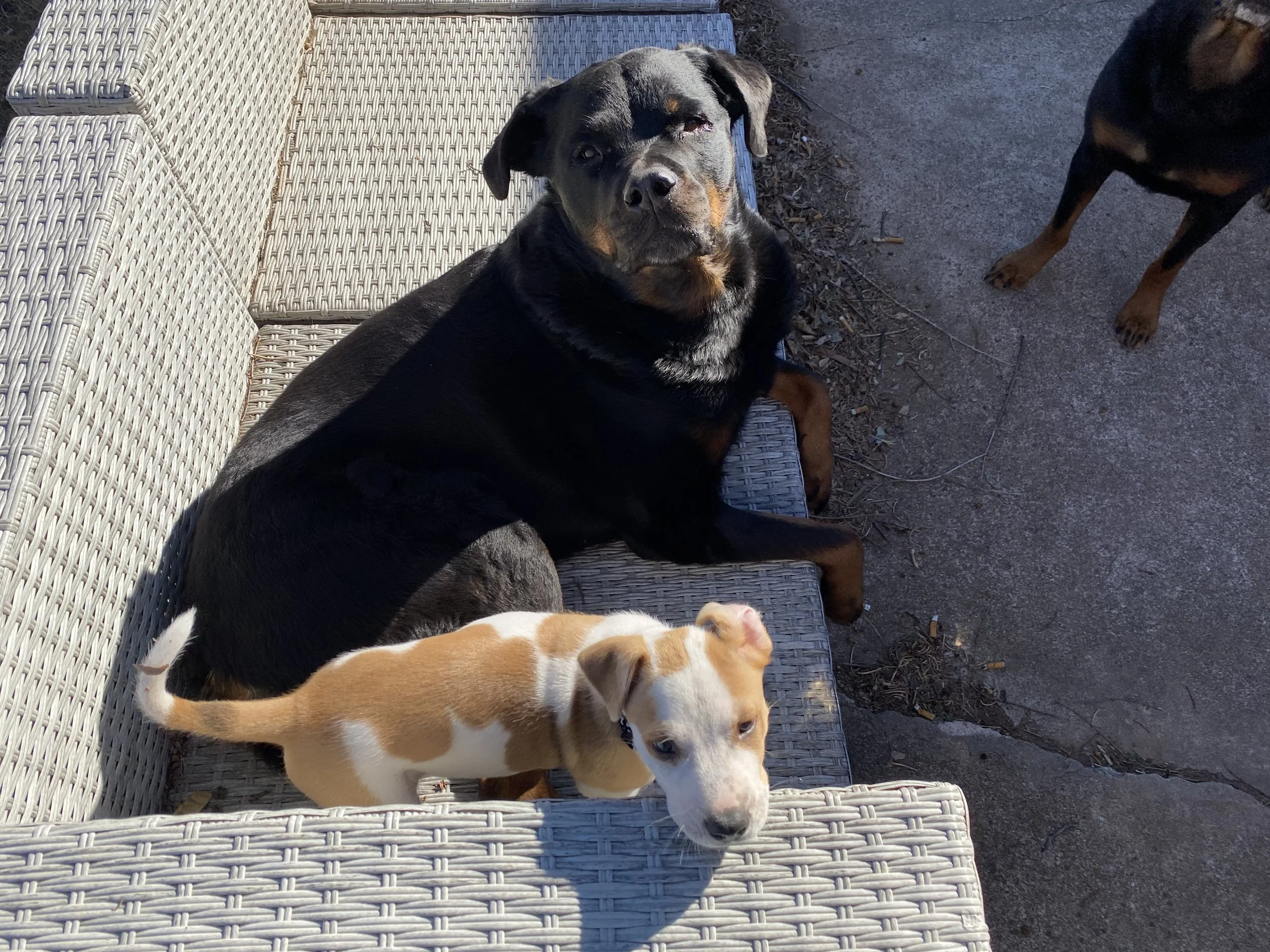 Miss May and I would like to thank everyone who helps with this wonderful program