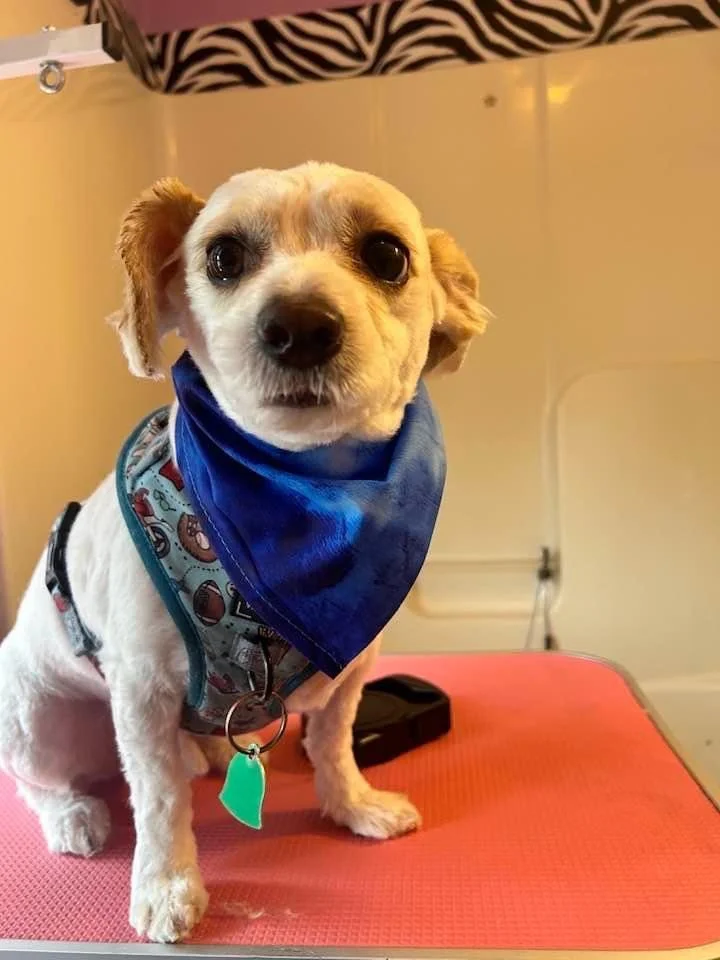 Thank you for helping me care for Mikey.