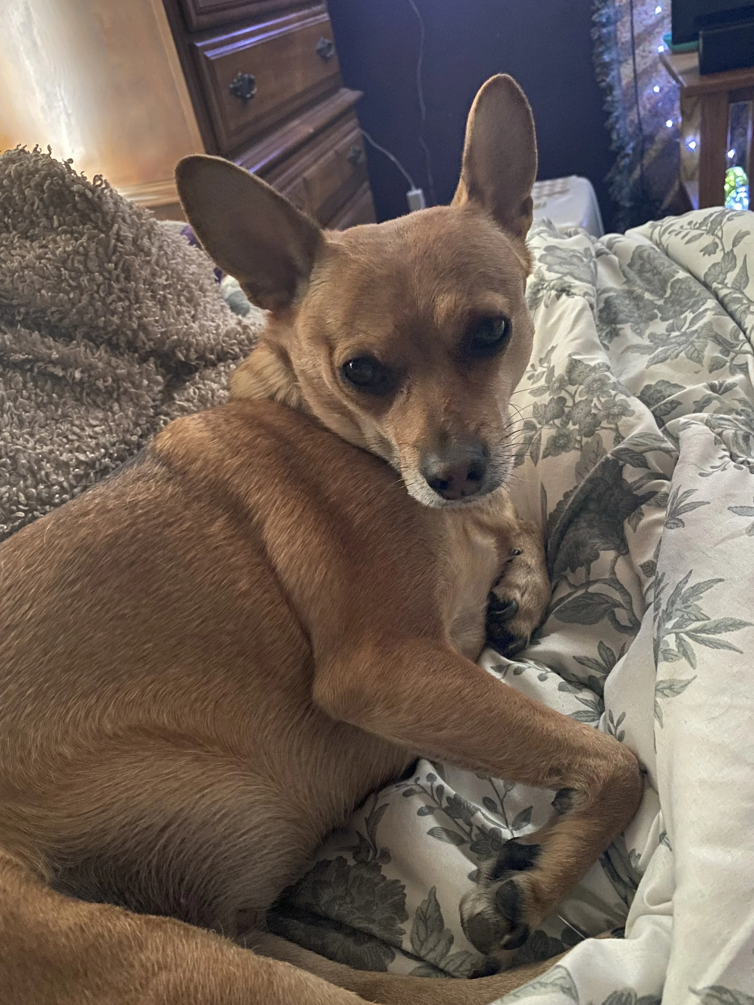 Parker is my best friend