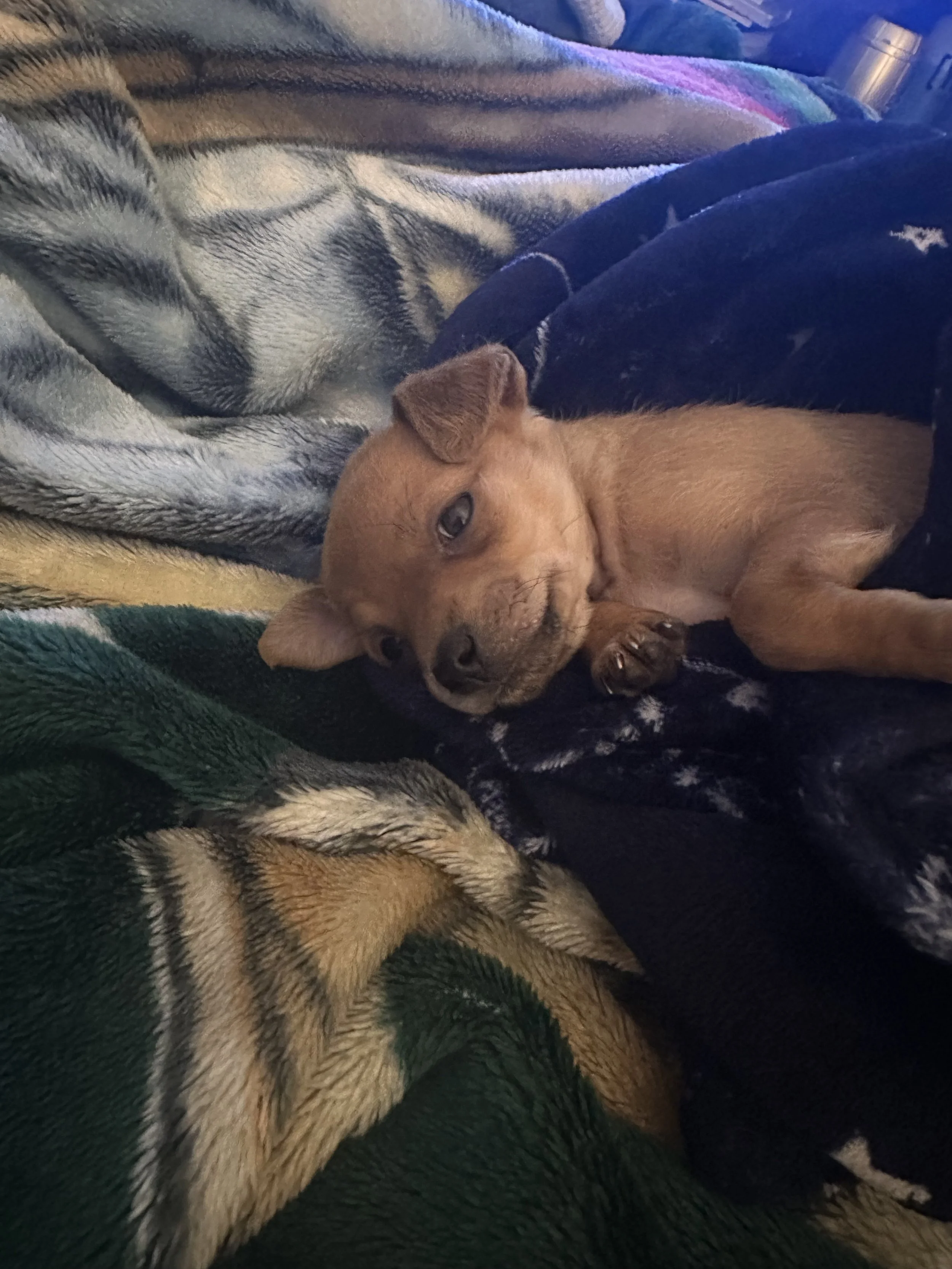 This means so much to us, our kids, and Coco.