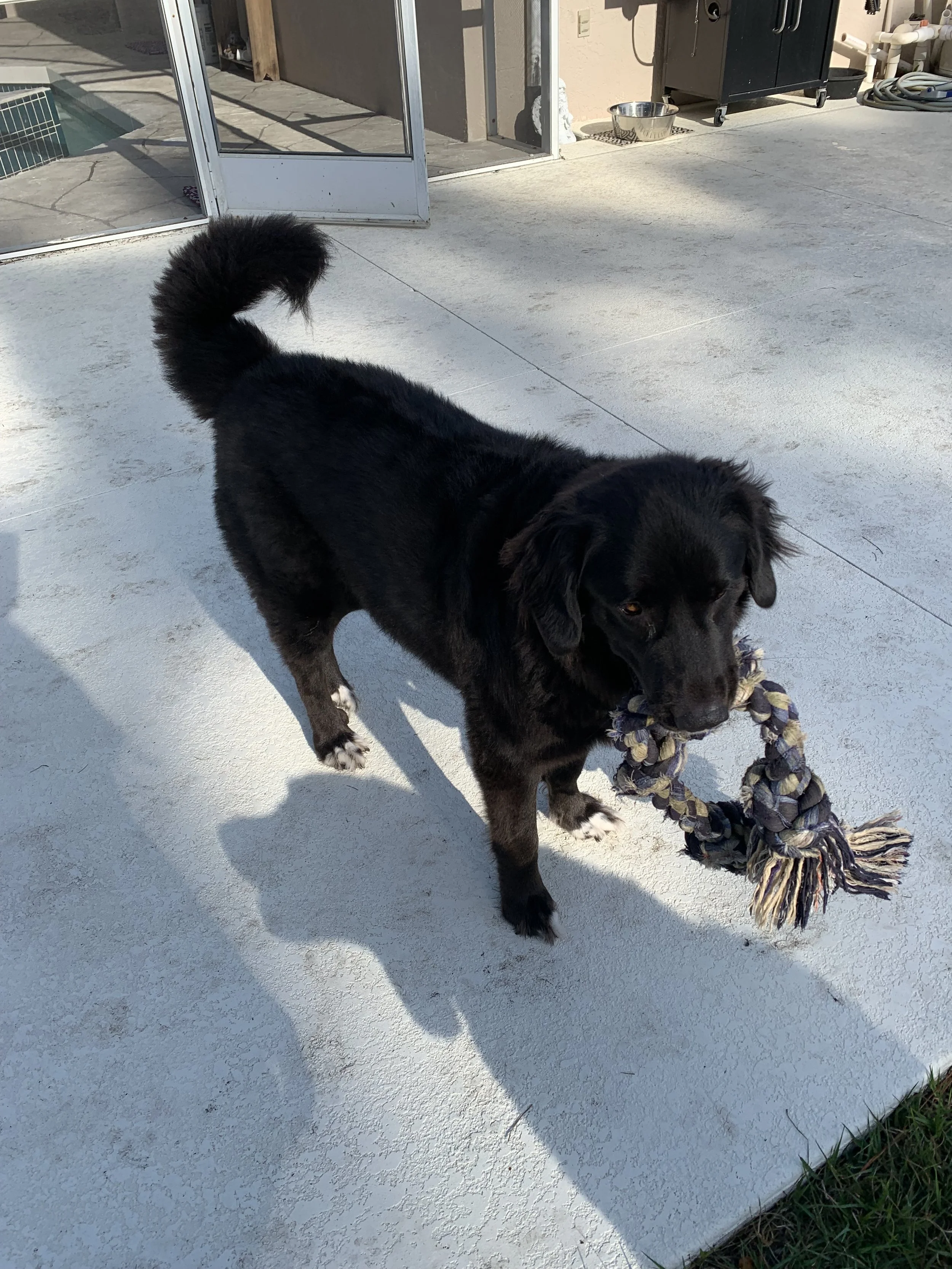 Ruby and myself sincerely thank you from our hearts.