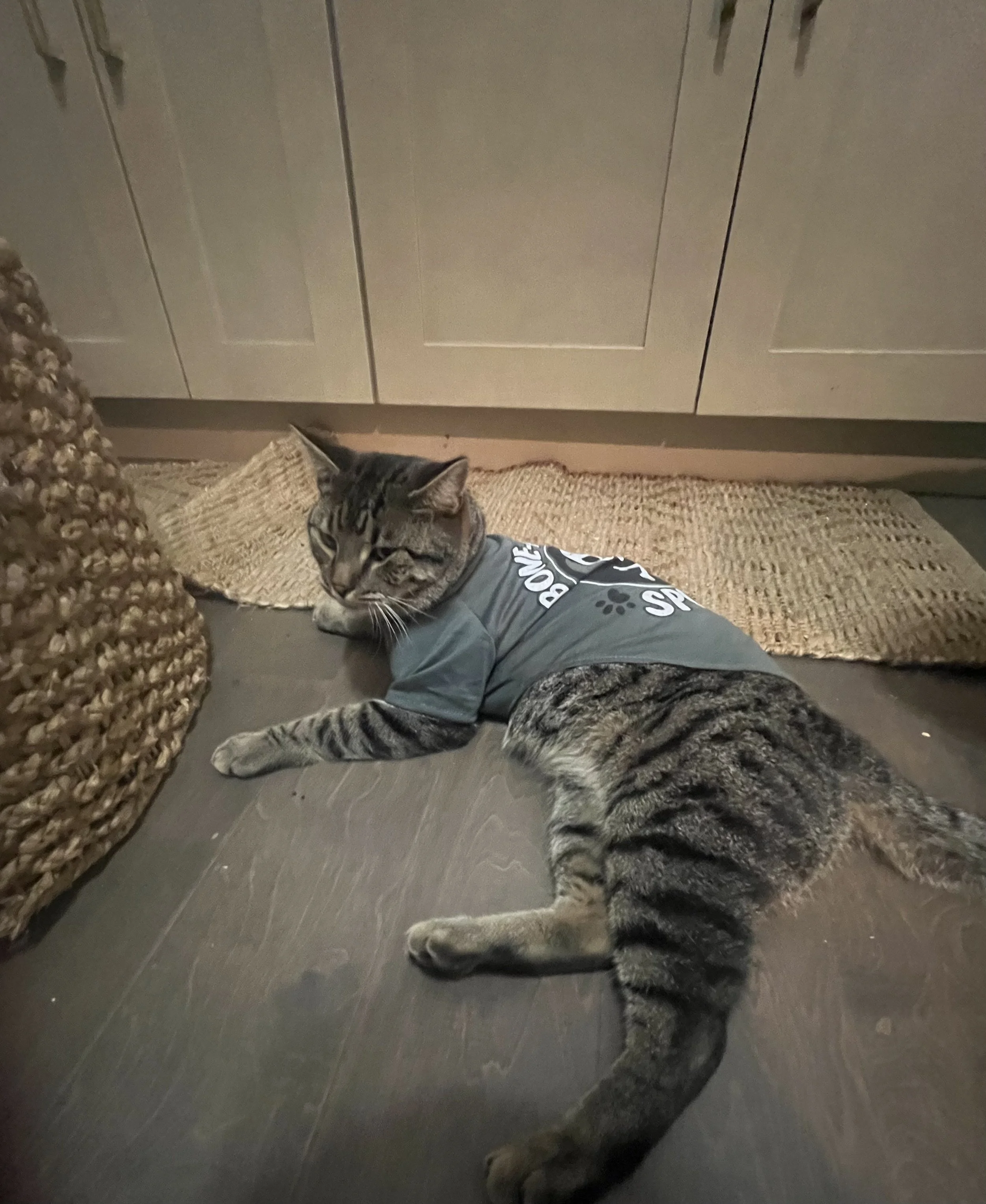 Thank you for help saving Bailey.