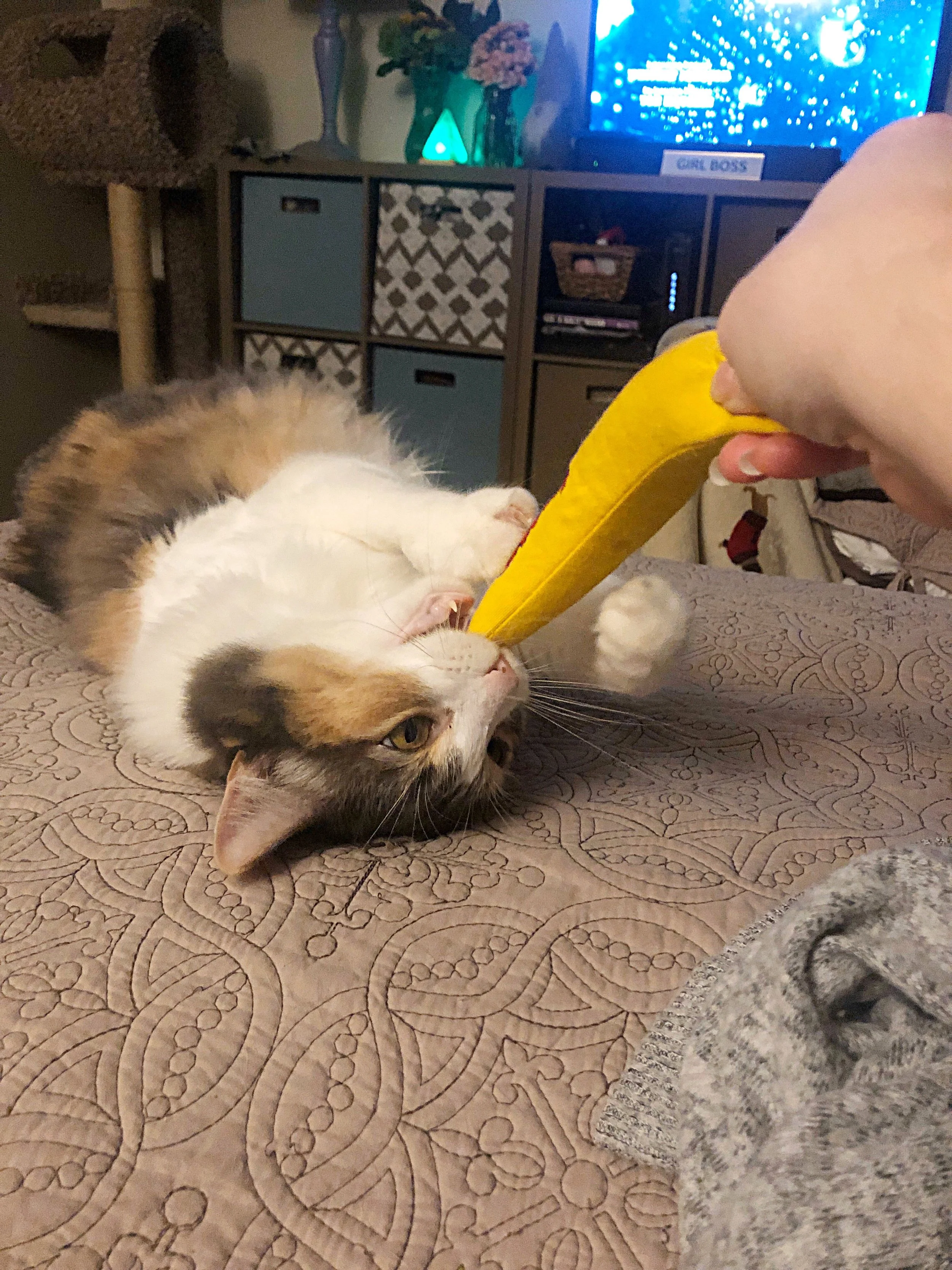 Thank you so much for helping Little Darling.