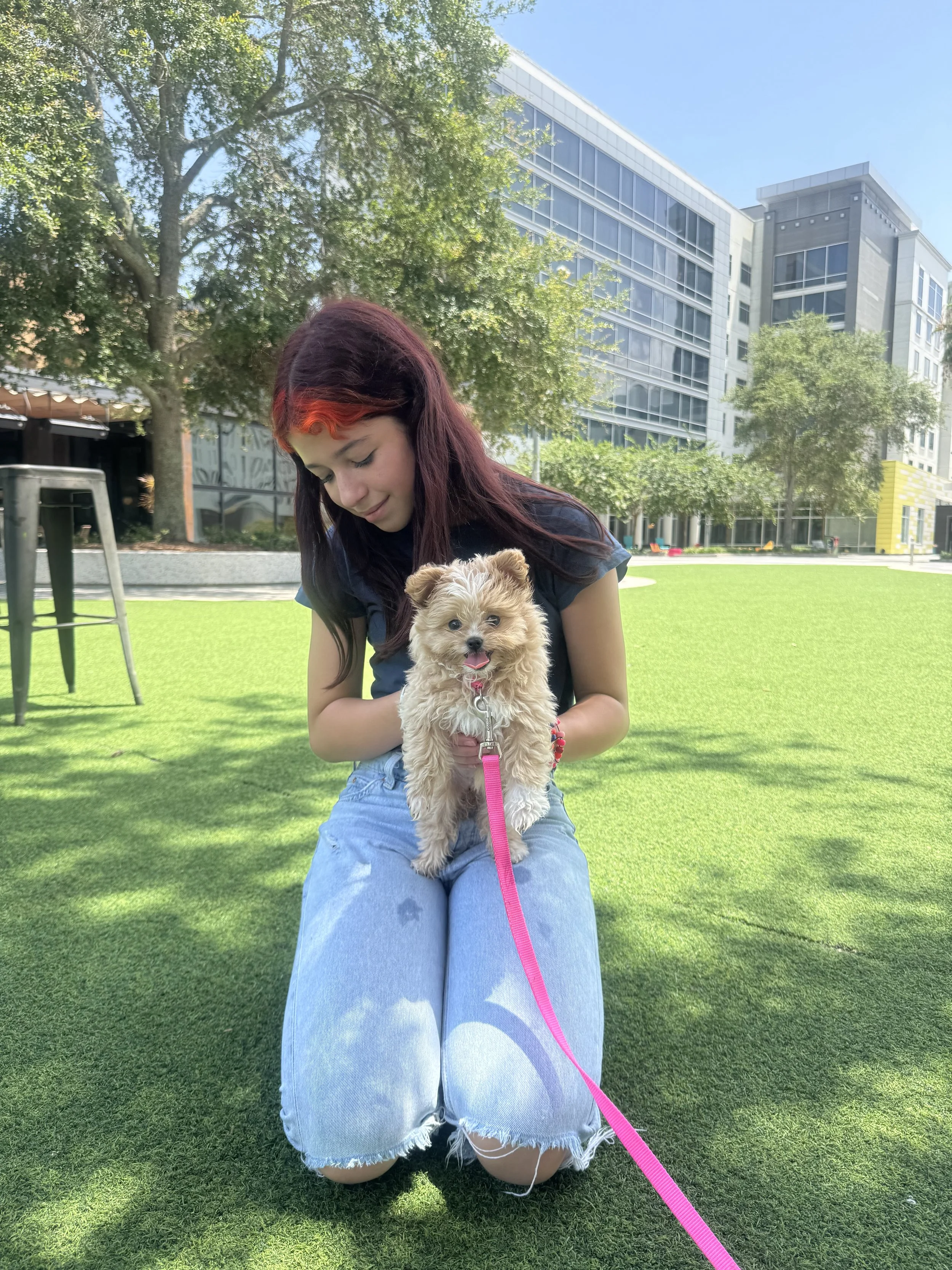 Maggie has brought joy, calm, and emotional support into our home.