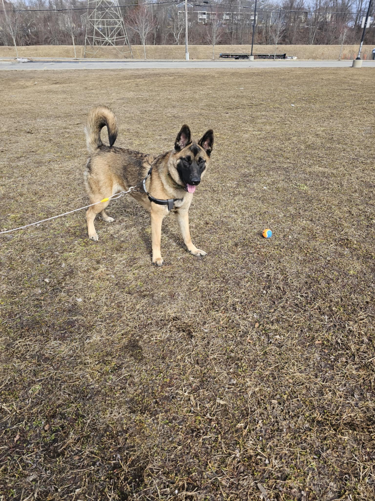 Thank you for helping Lela have a fighting chance.