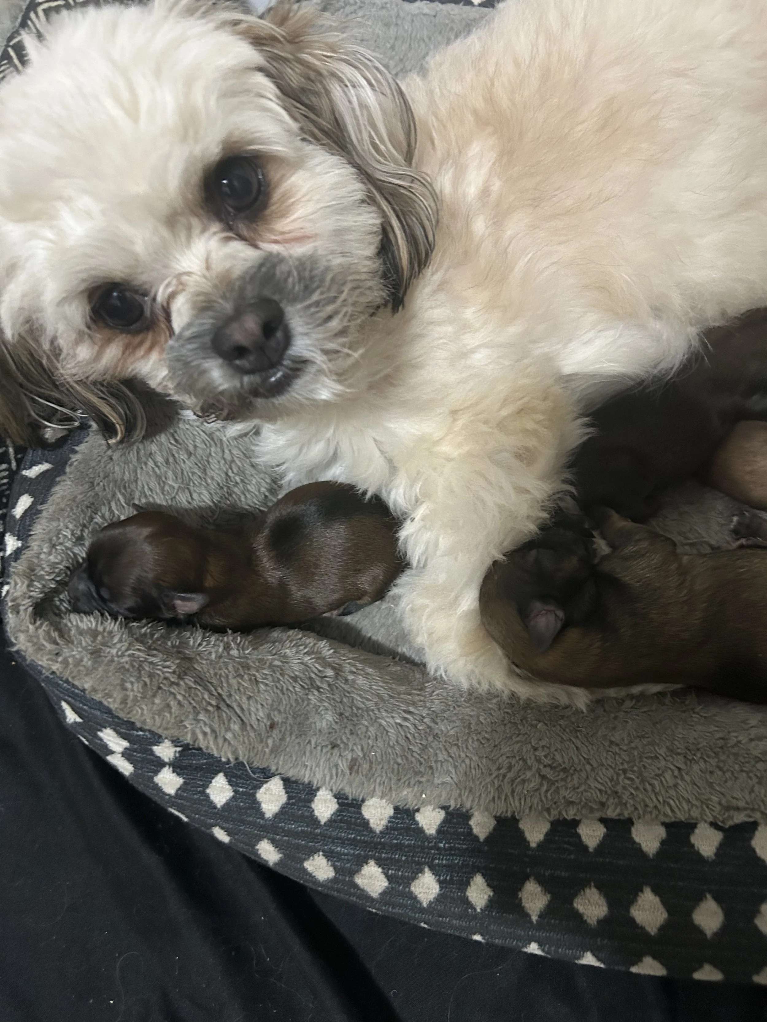 Henny means a lot to us.