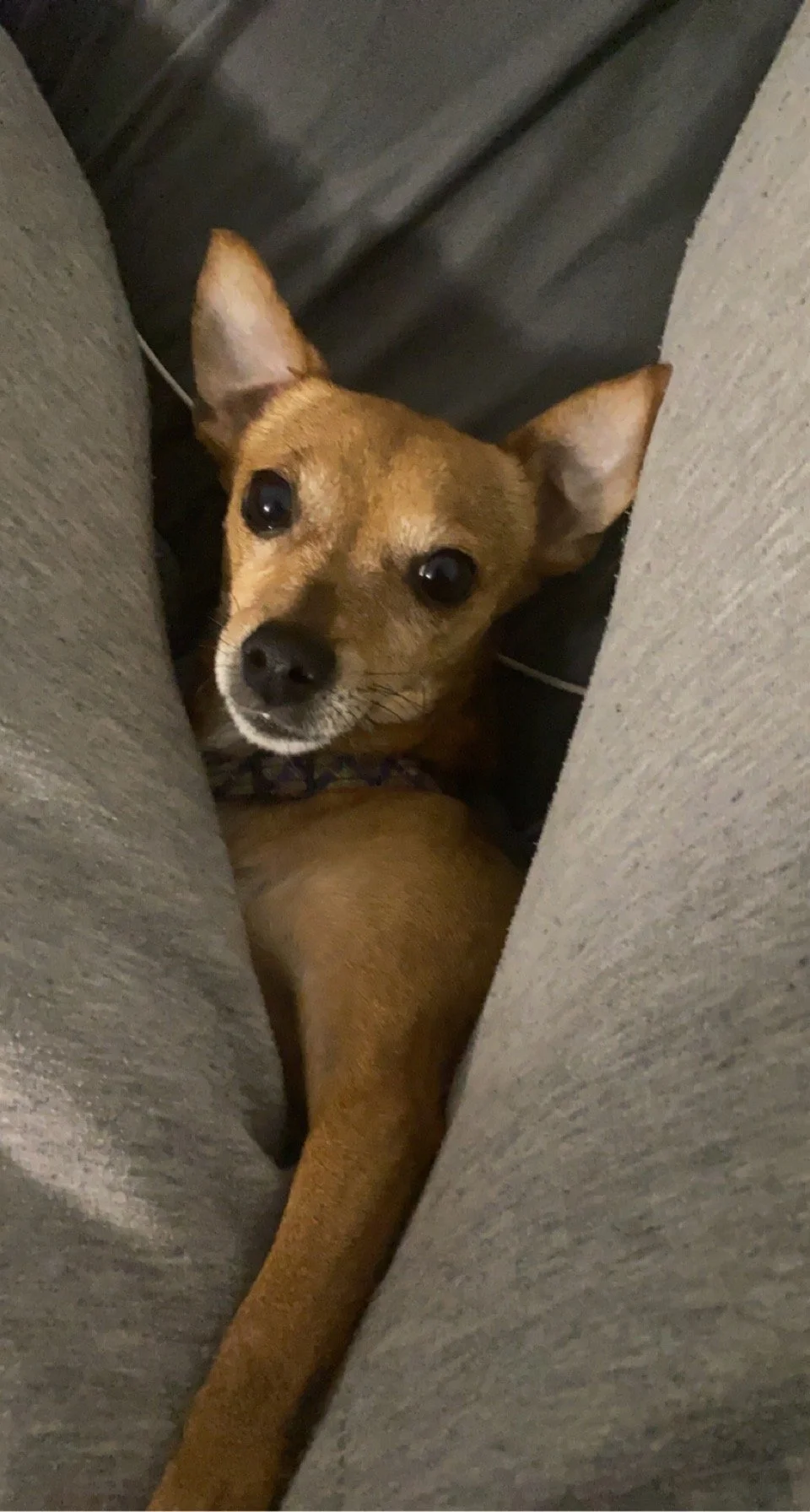 Elsa means the world to me.