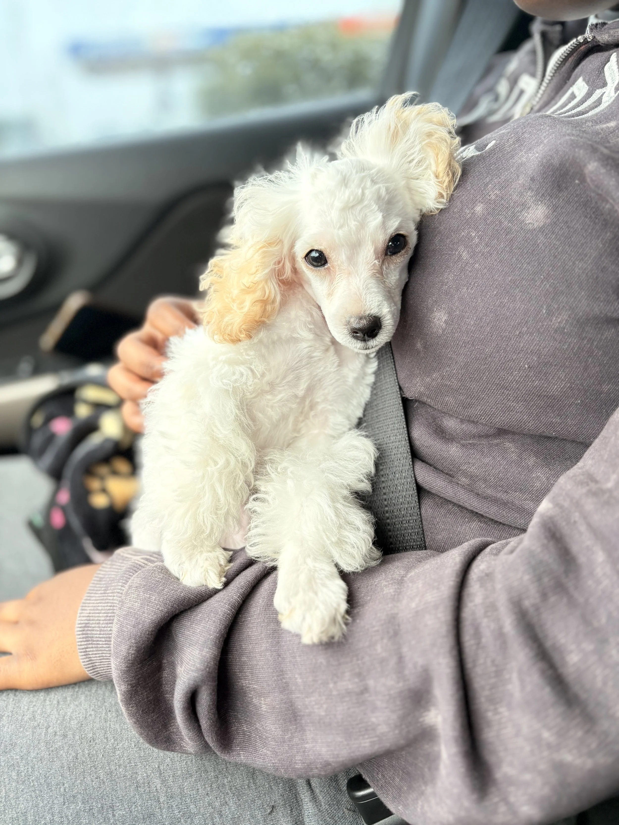 Thank you for helping Missy!