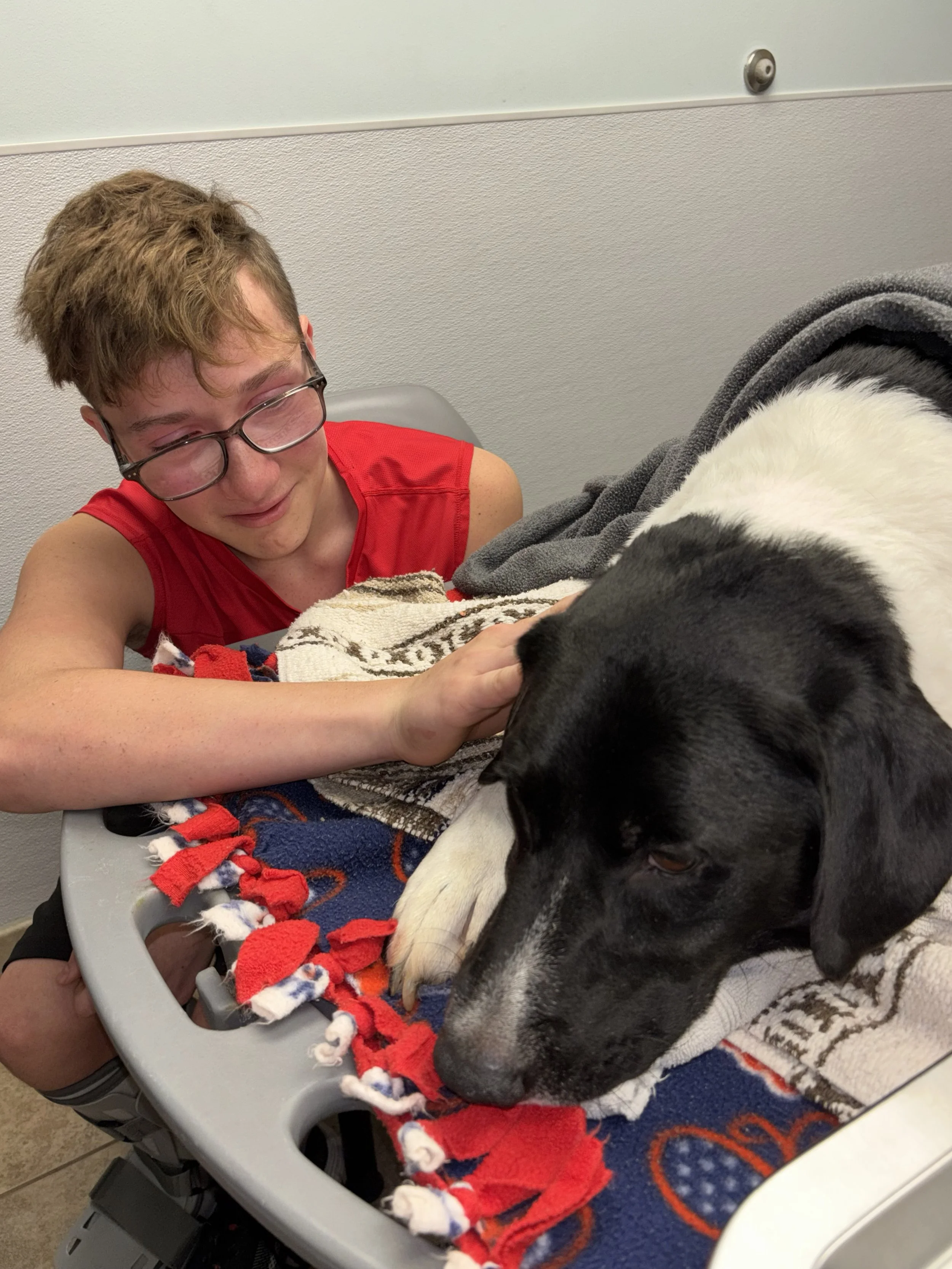 Thank you for keeping Maverick with us.