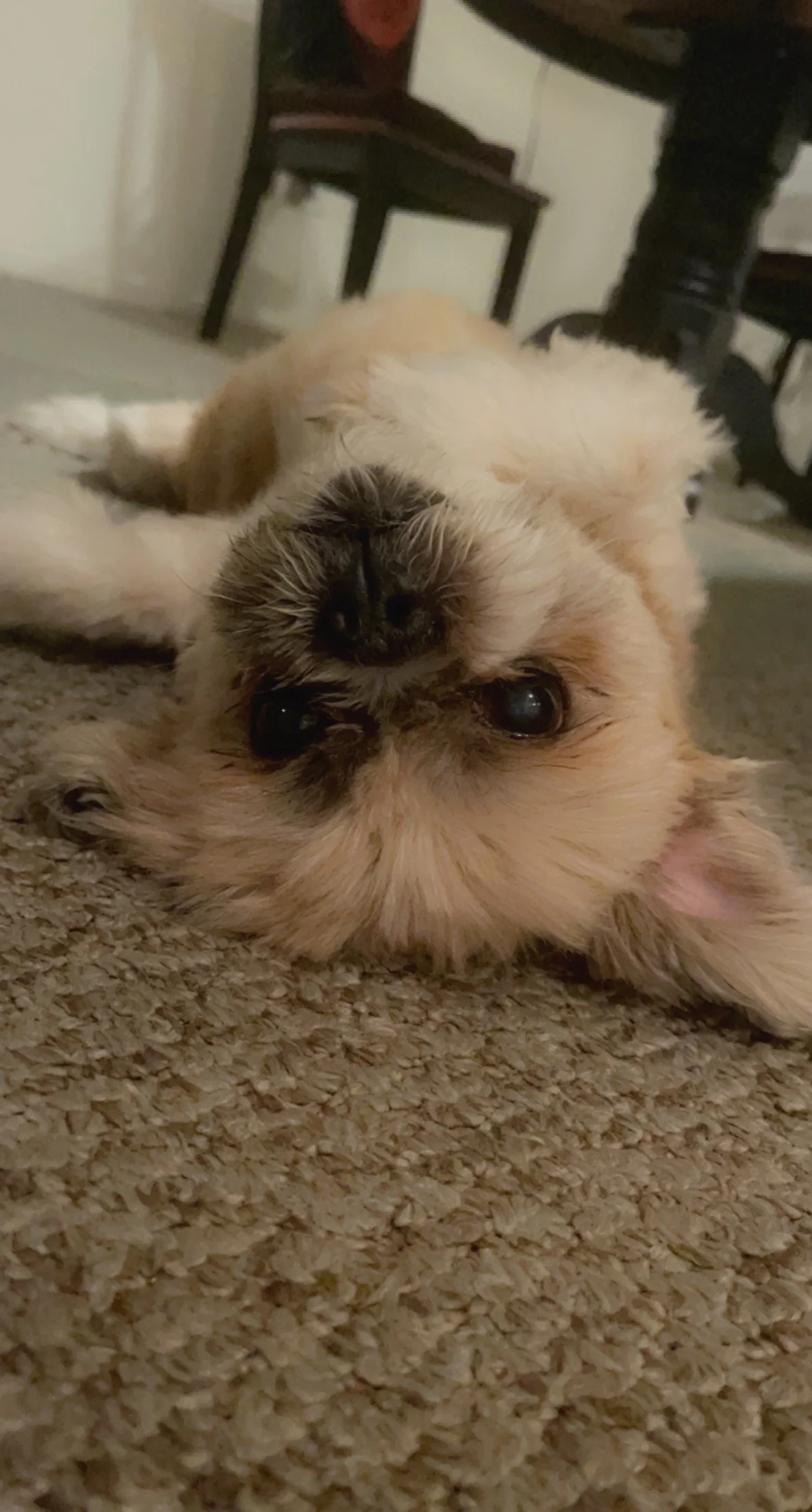 Neno means the world to me