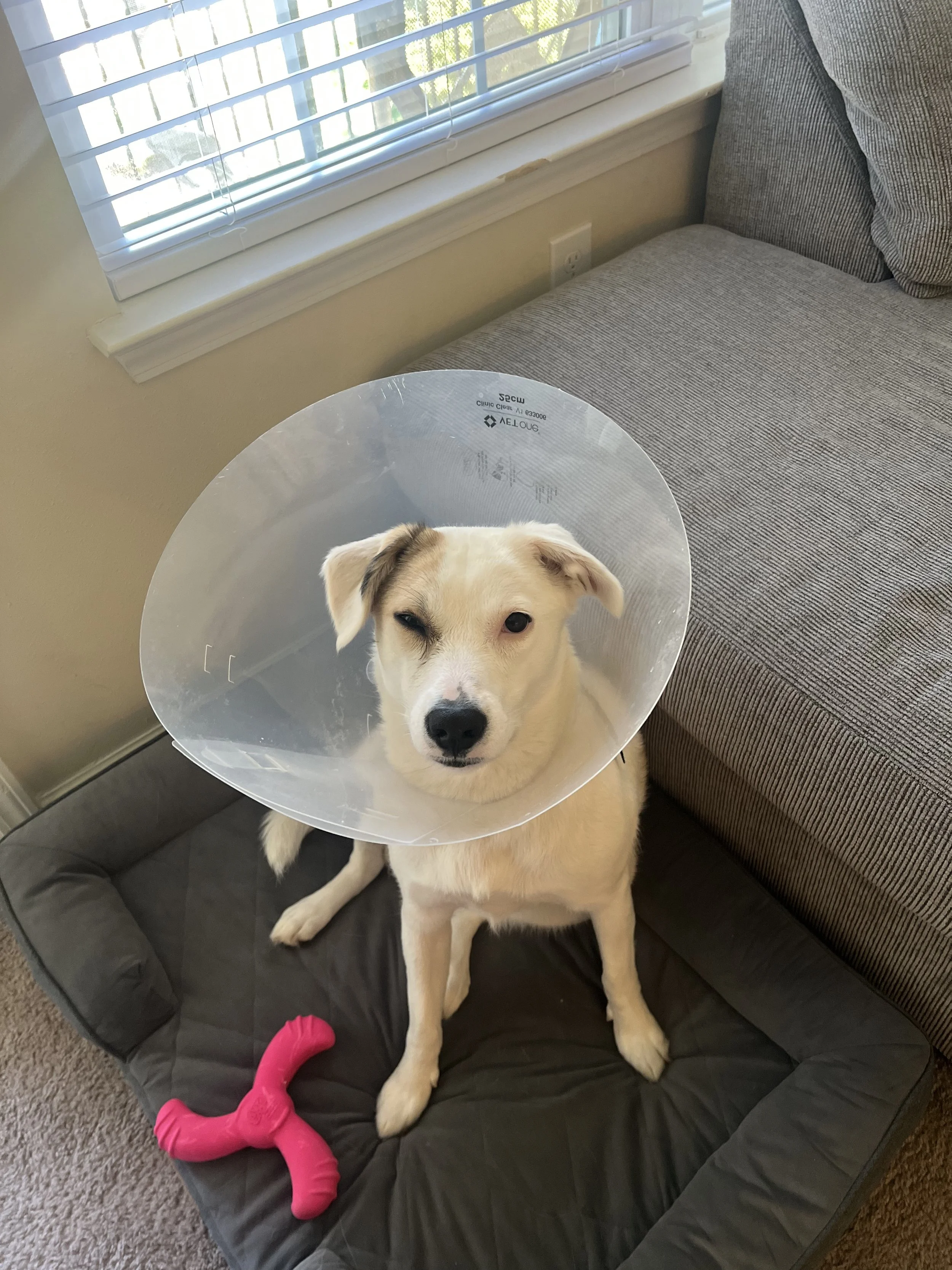 Dolly, my husband, and I would like to say sincerely how thankful and grateful we are for your donation.