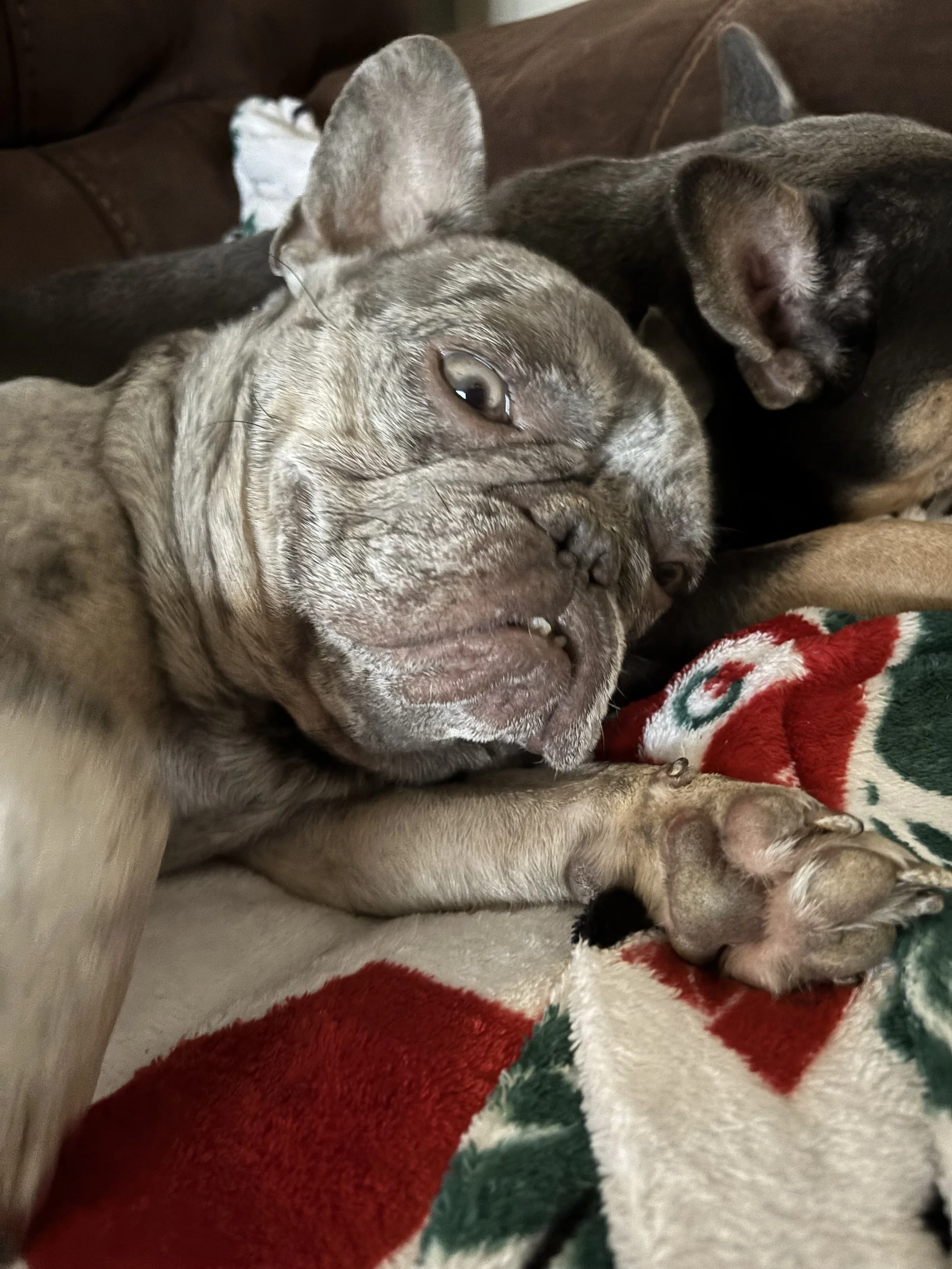 Thank you so much for helping Jade.