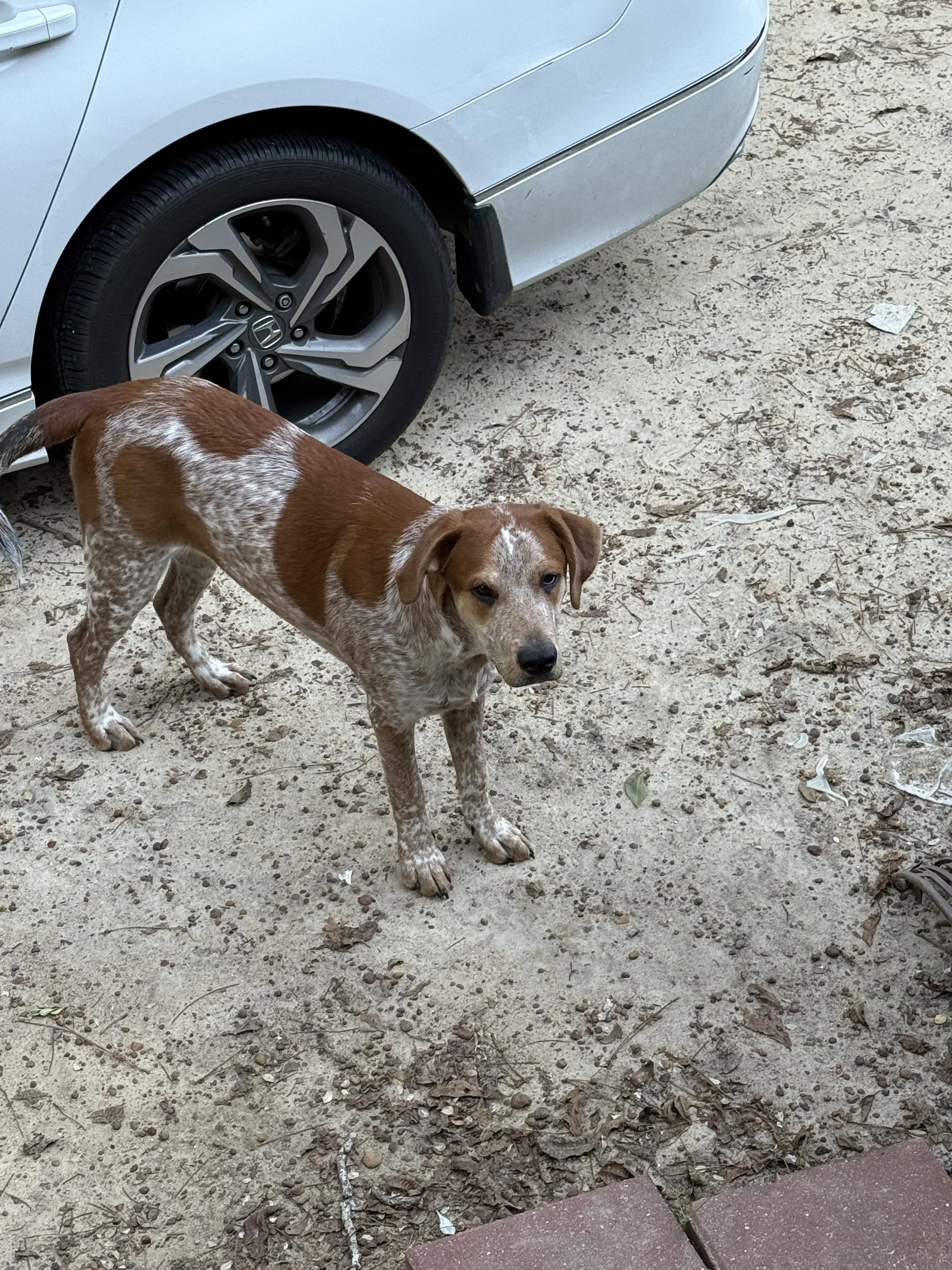 Thank you for helping Cash.