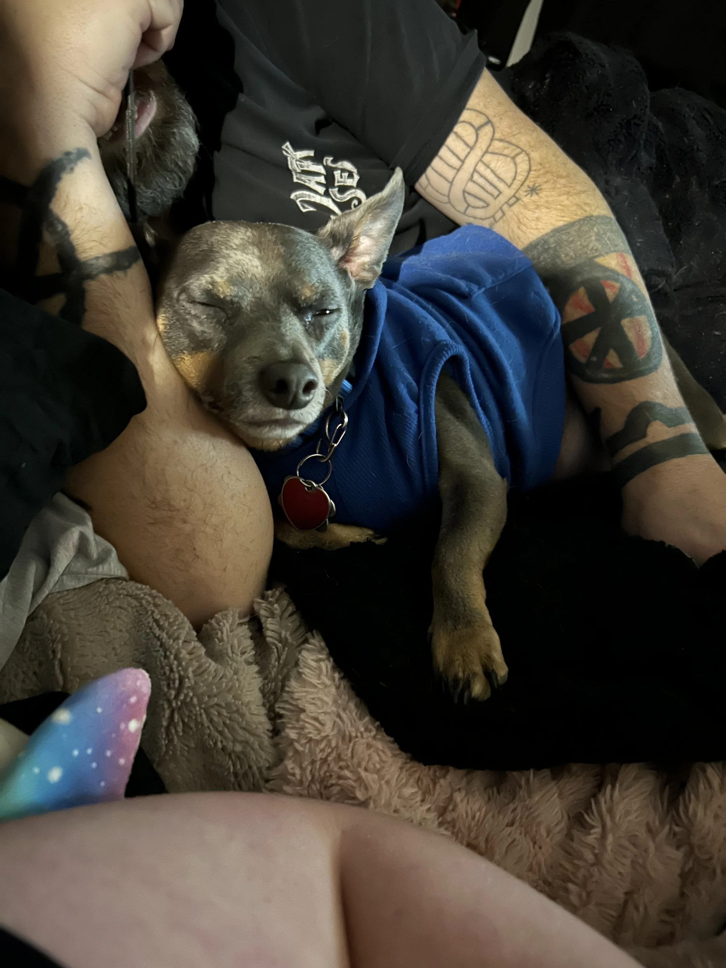 Achilles is truly my best friend