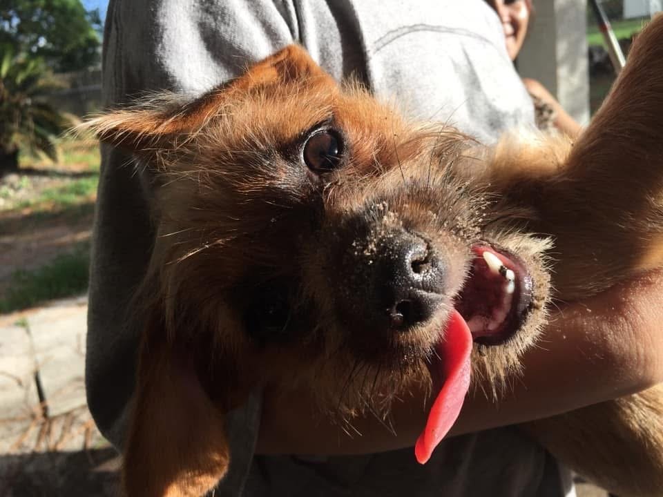 Cali says thank you so so much for helping her