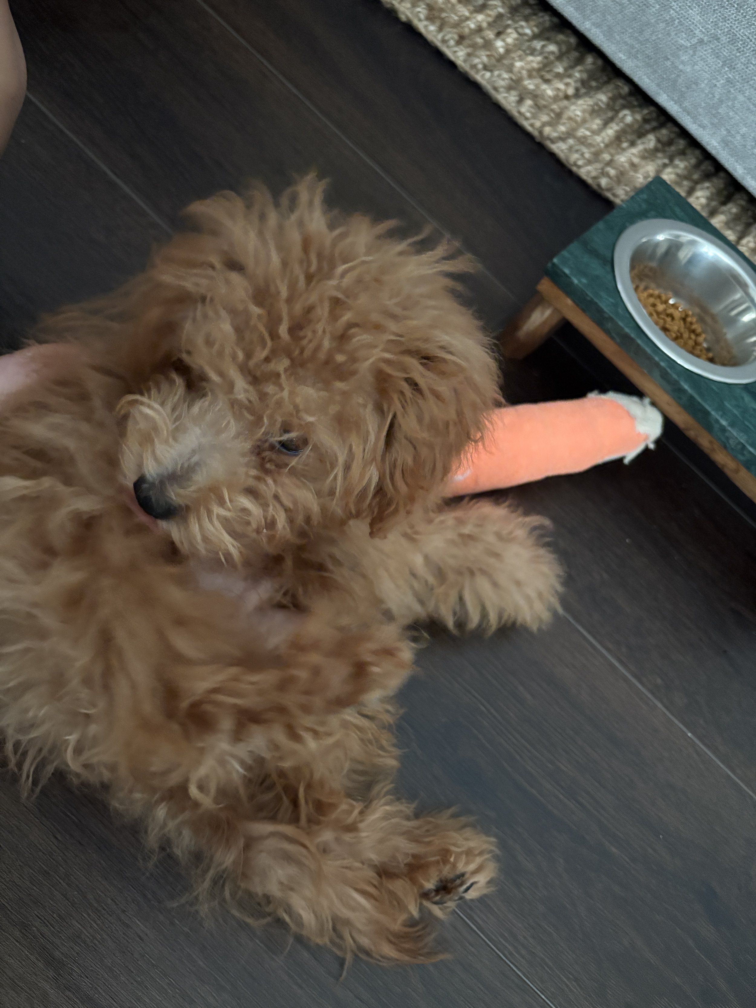 Thank you from the bottom of our hearts for giving Luke a second chance at life.