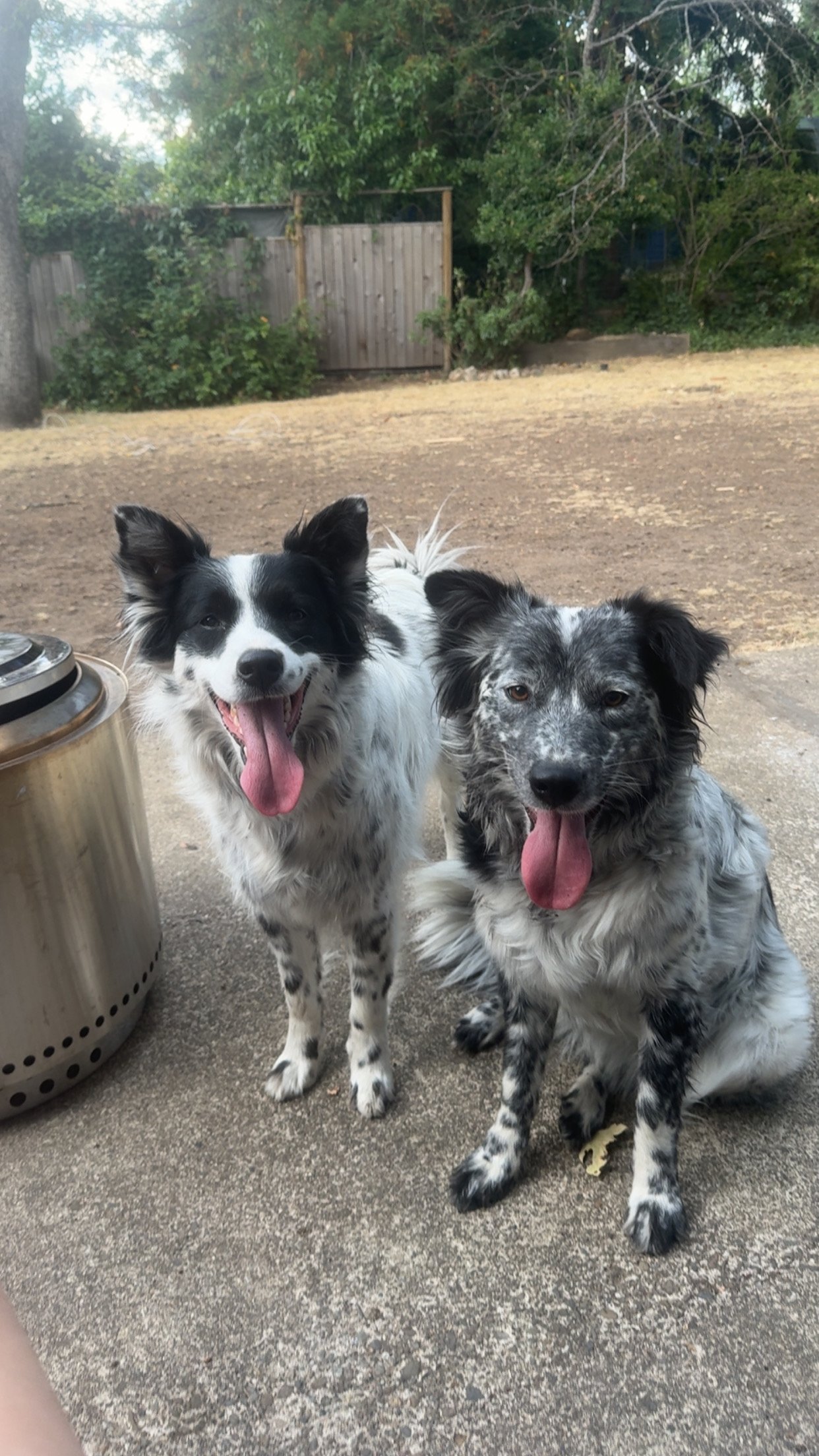 Nala is so loved by her doggy sister and her two human siblings and parents