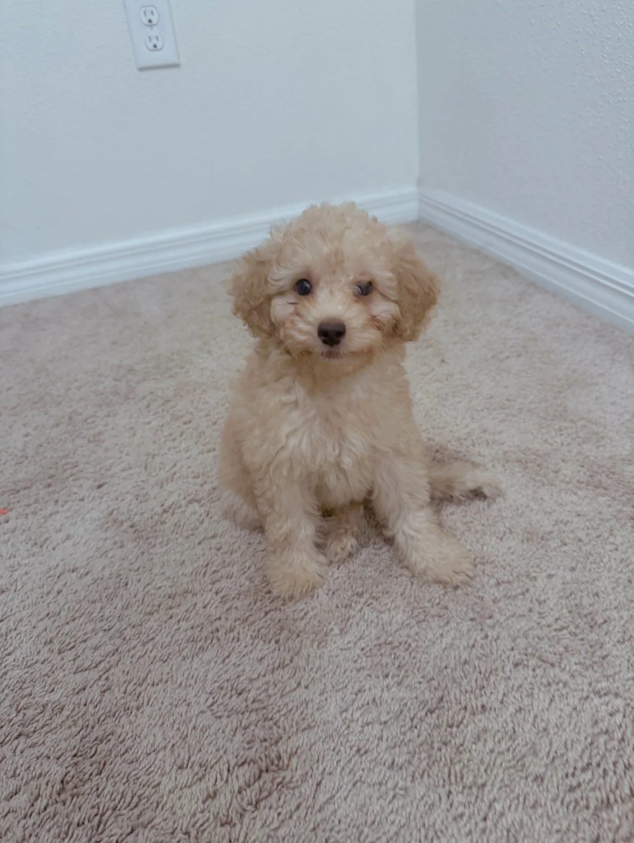 Receiving assistance for Noah means the world to me and my children.