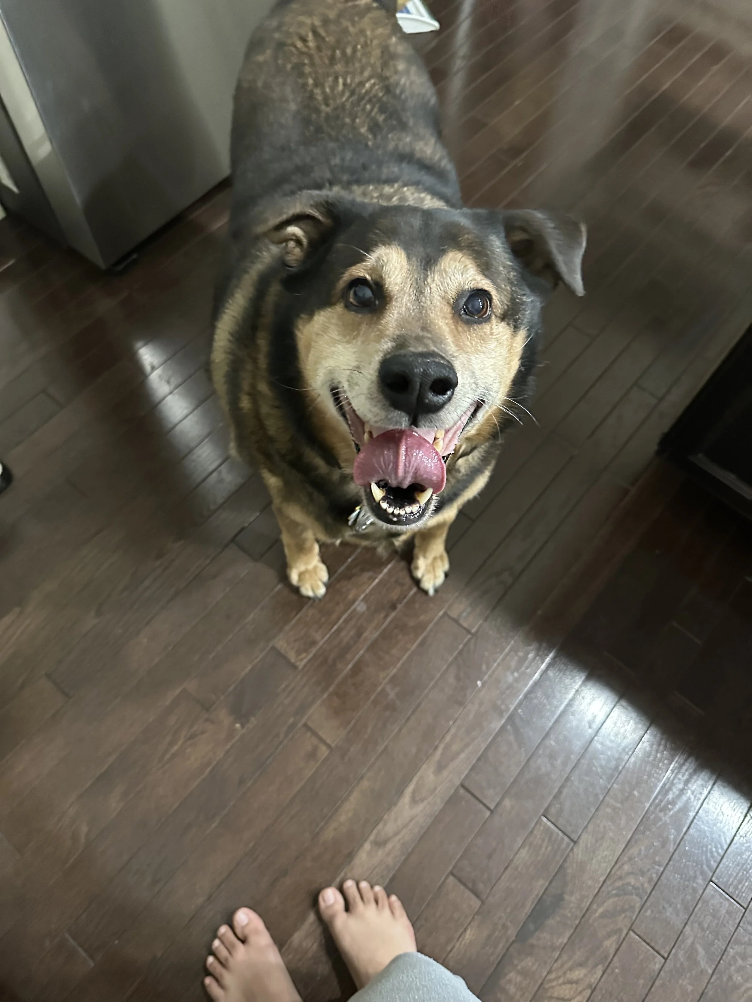 Metro is my first child