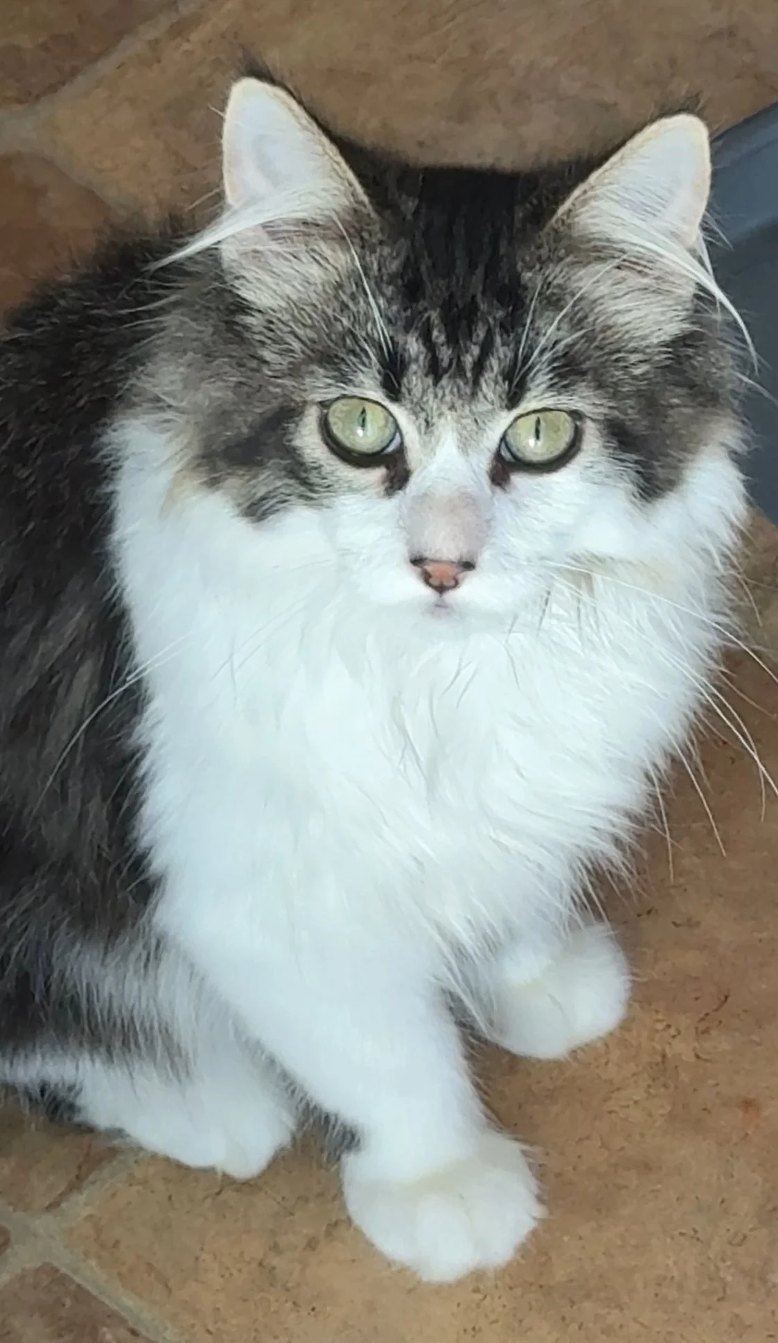 Marshmallow means the world to us! 