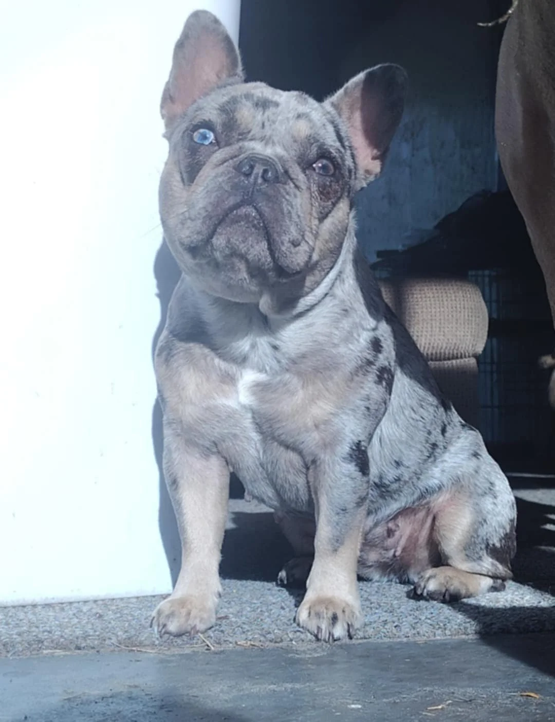 Baby Jade has been through so much and deserves to not be in pain.