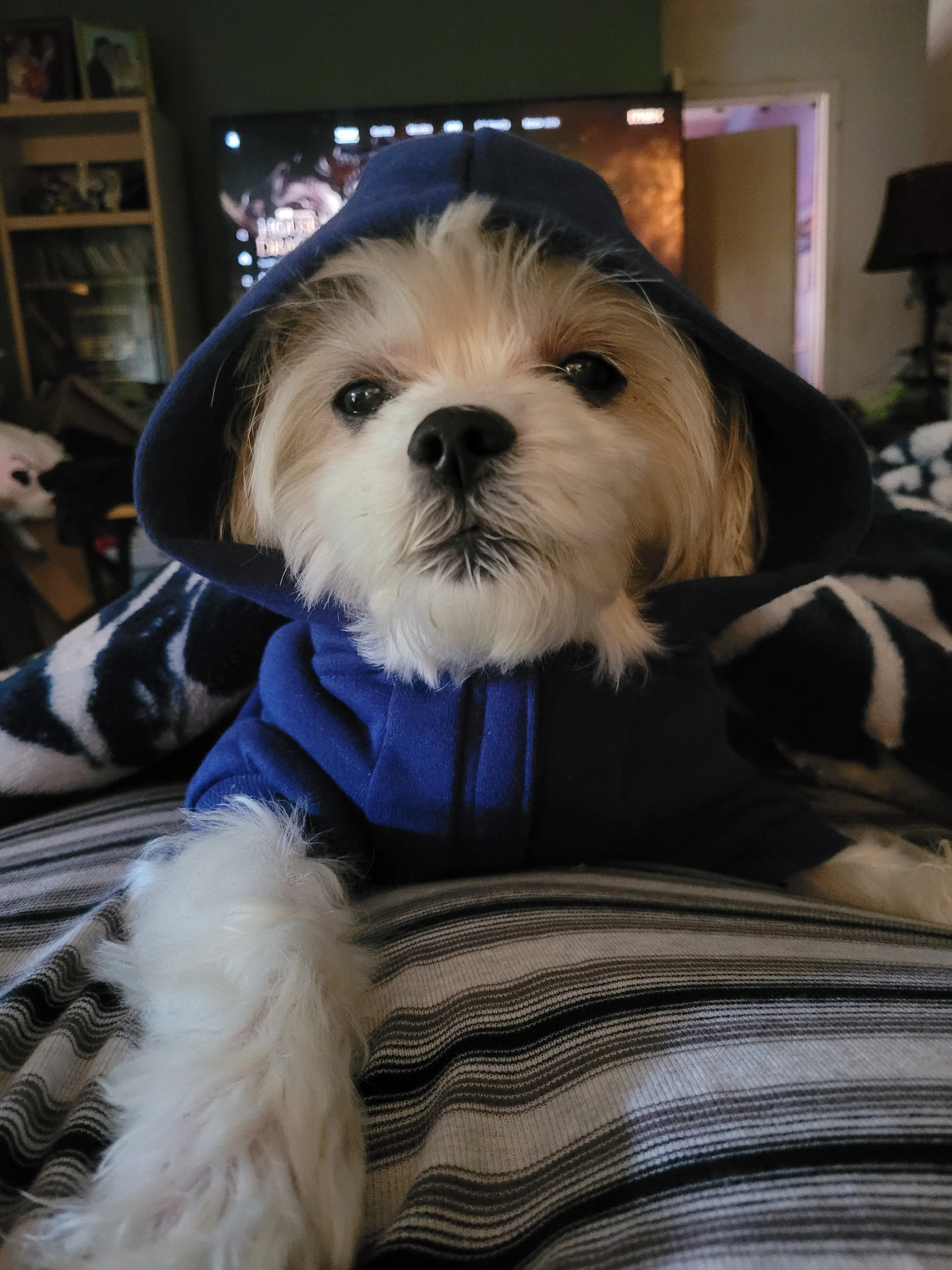 Daisy Mae brings so much joy to our family.